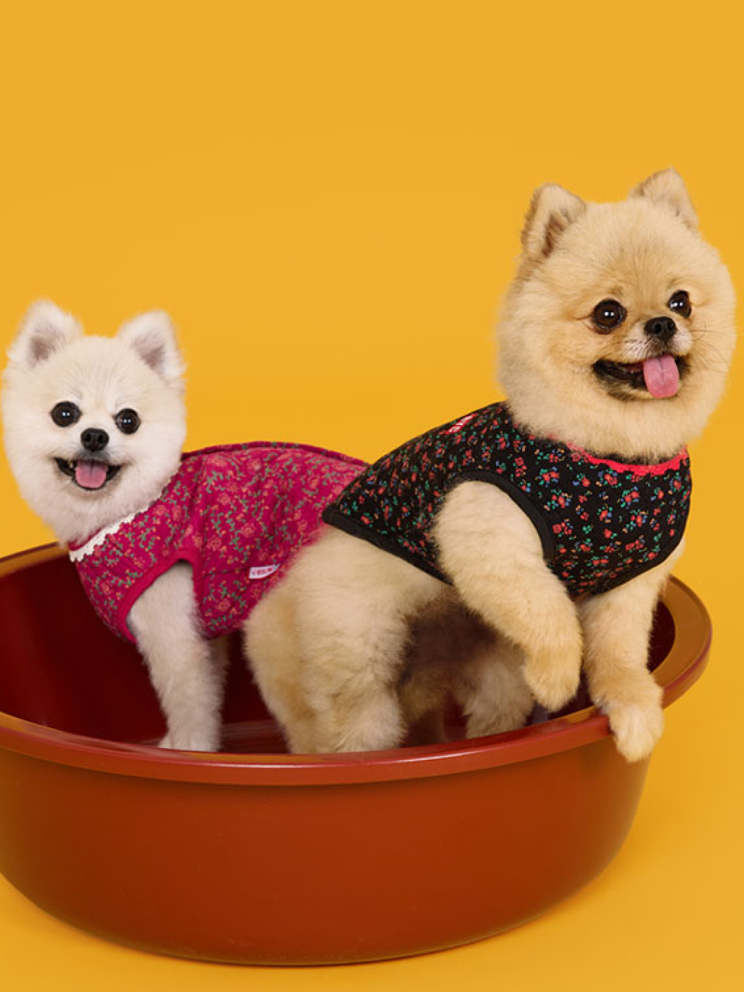 Spao x Manggom Grandma's Kimchi Vest Blue 착용 스타일 - 4