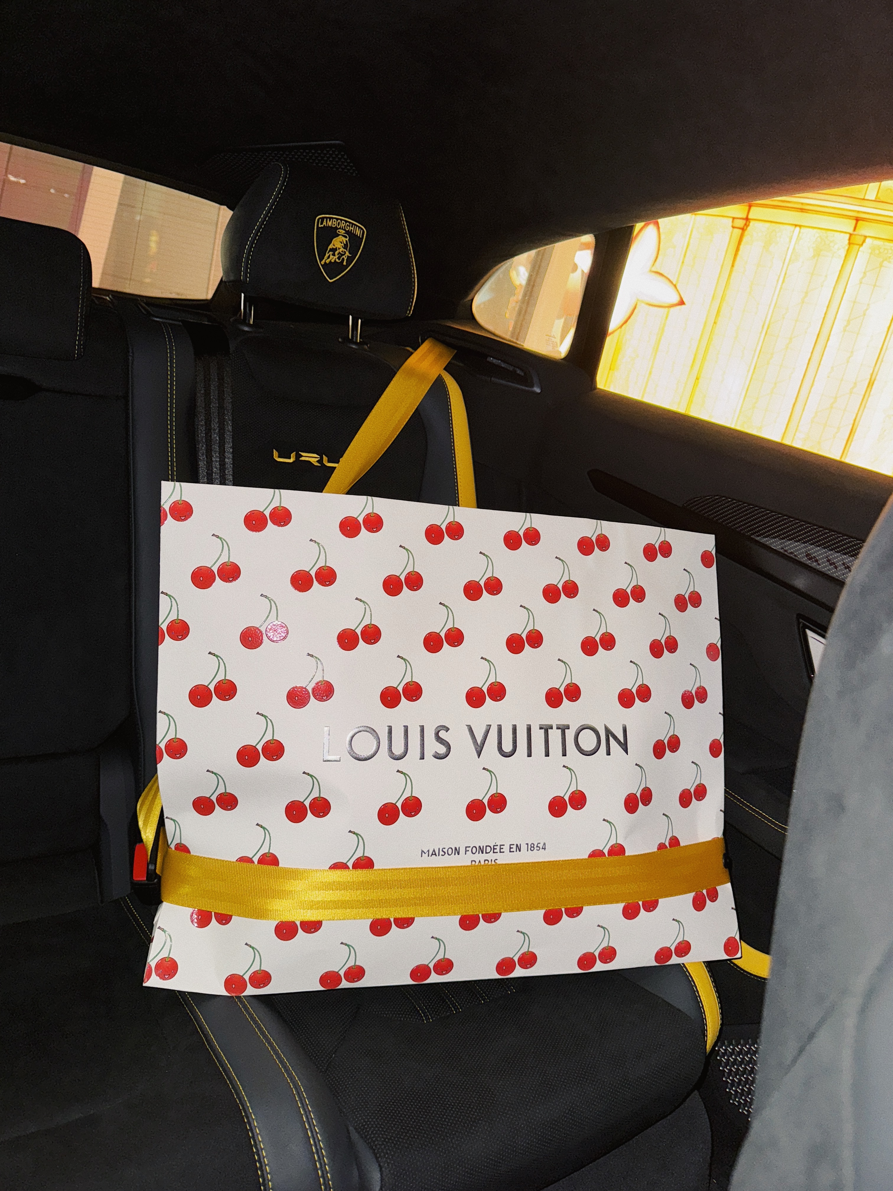 Louis Vuitton Speedy P9 Bandouliere 25 Monogram Turquoise, Louis Vuitton Speedy P9 Bandouliere 40 Monogram Turquoise 착용 스타일 - 10