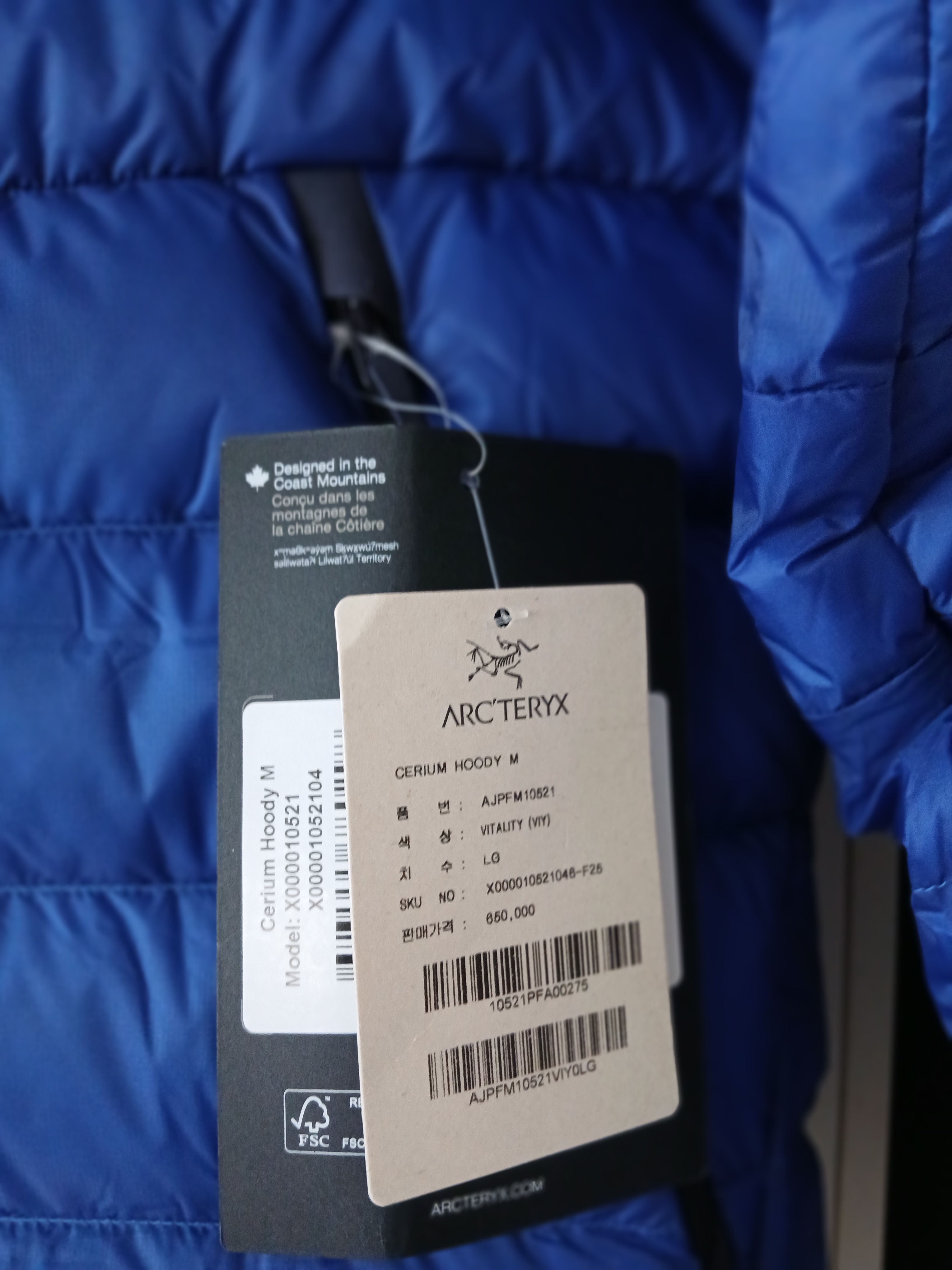 Arc'teryx Cerium Hoody Black, Arc'teryx Cerium Hoody Black 착용 스타일 - 6