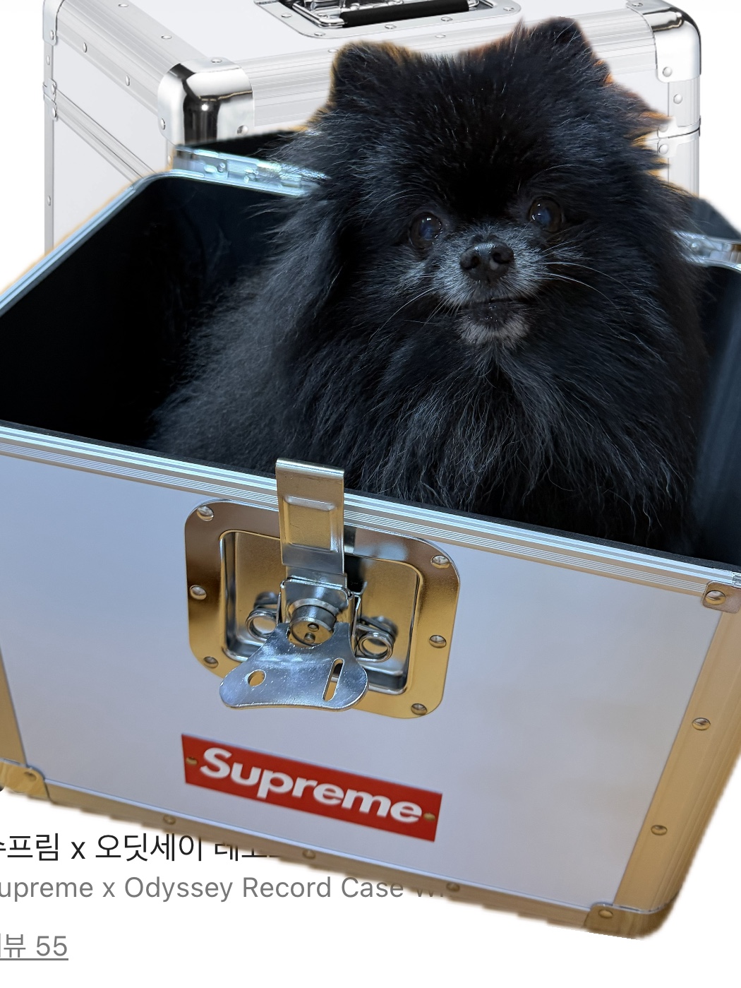 Supreme x Odyssey Record Case White - 25SS 착용 스타일