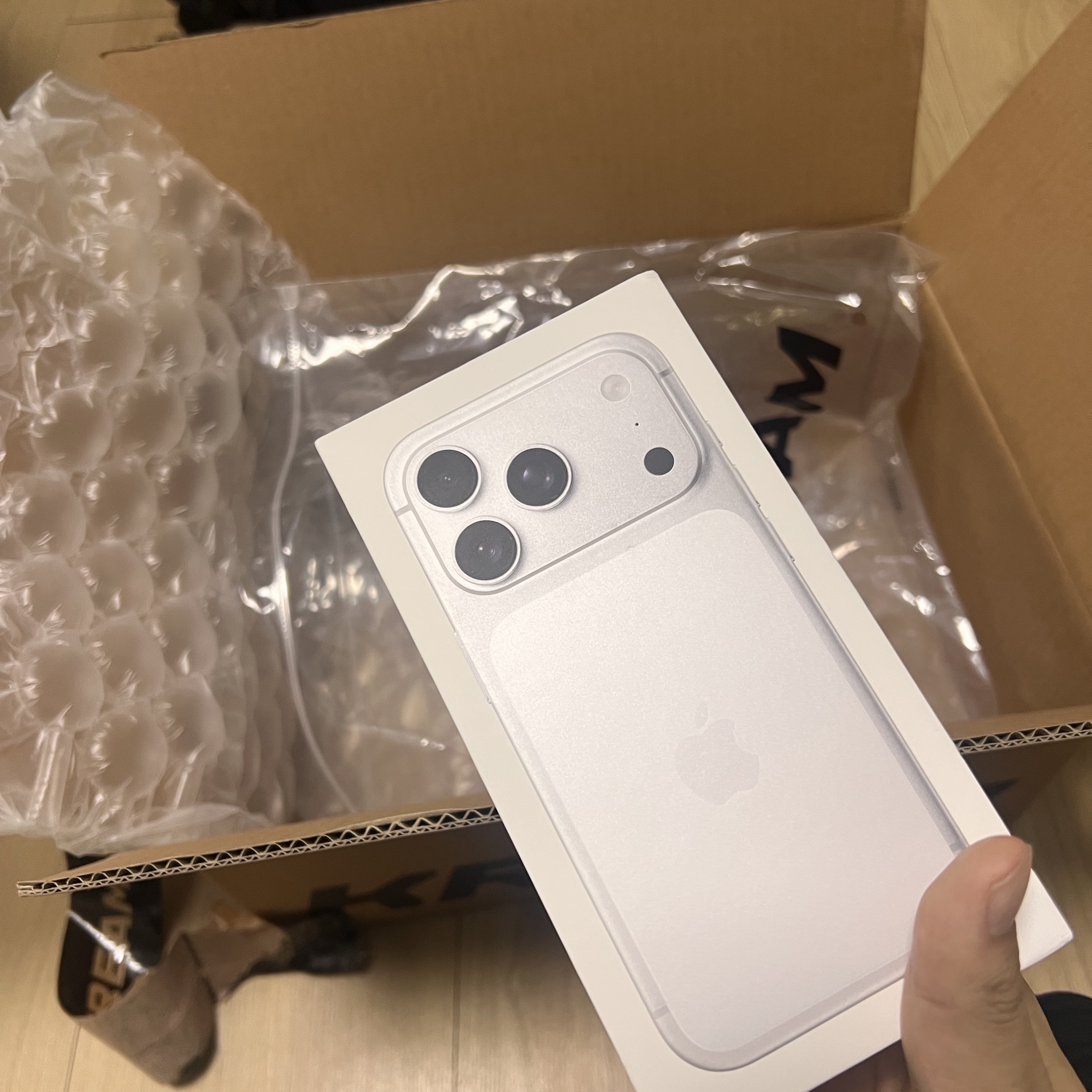 Apple iPhone 17 Pro 256GB Silver 착용 스타일