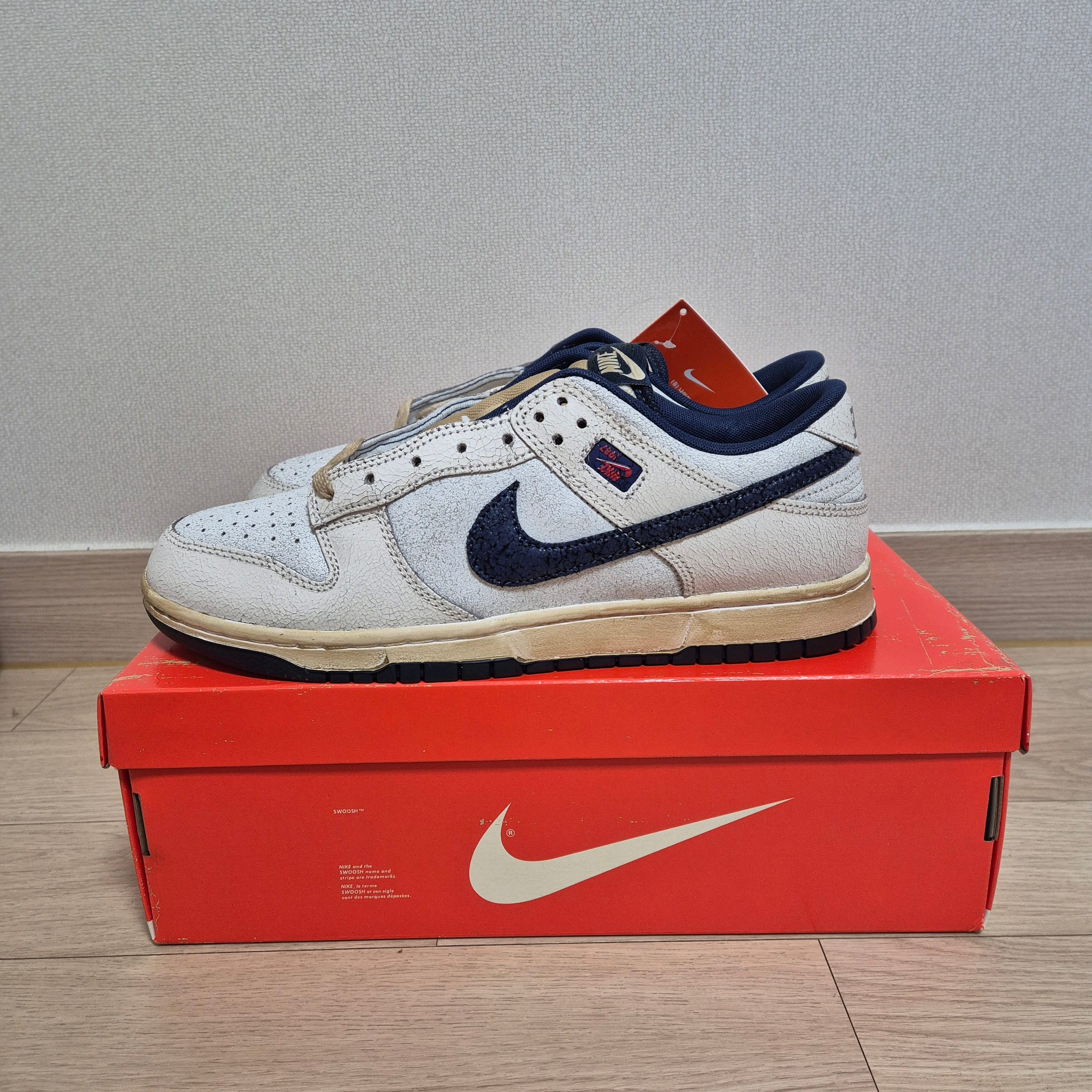 Nike x Stranger Things Dunk Low Phantom and Midnight Navy 착용 스타일 - 4