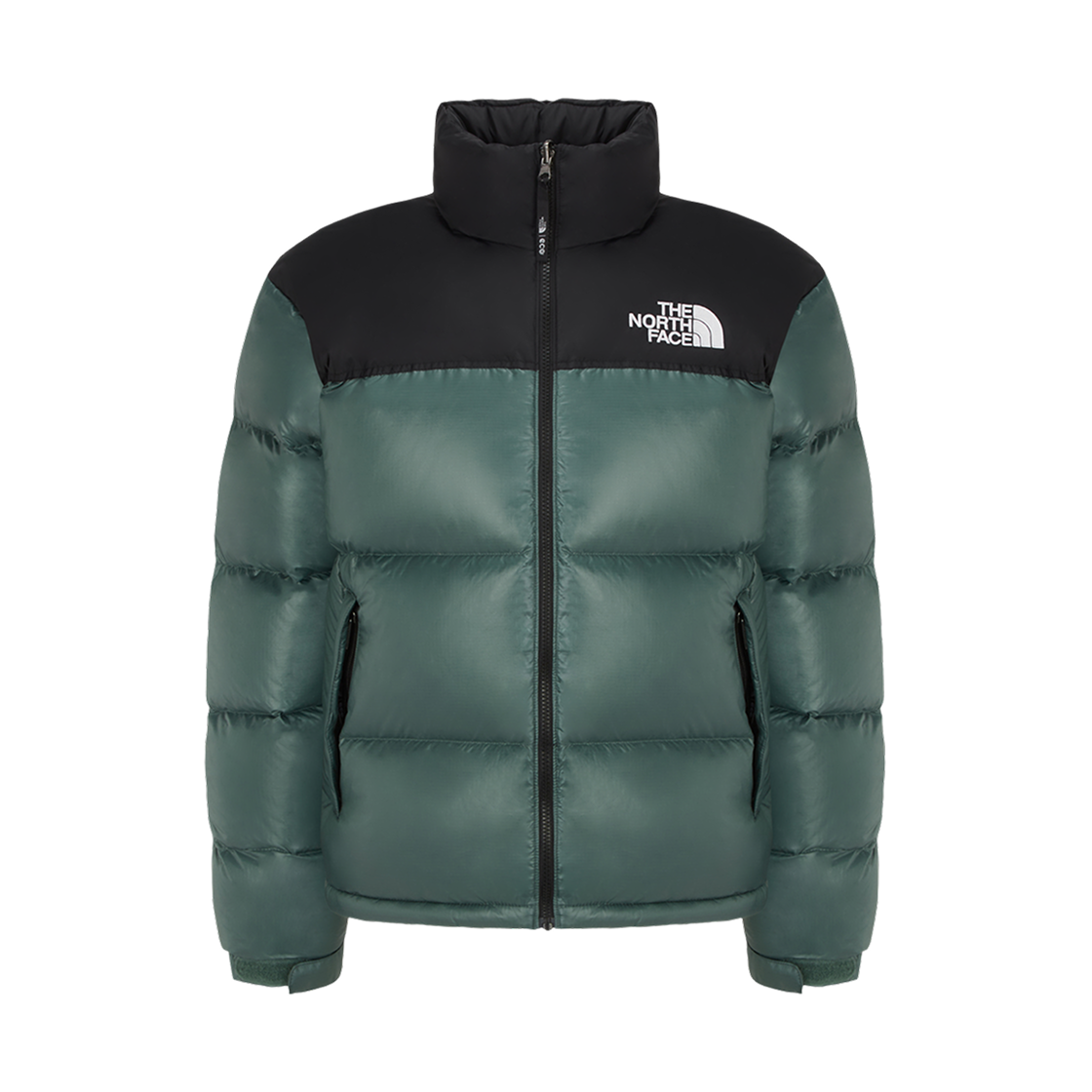 노스페이스 1996 레트로 눕시 다운 자켓 그린 - 25FW
