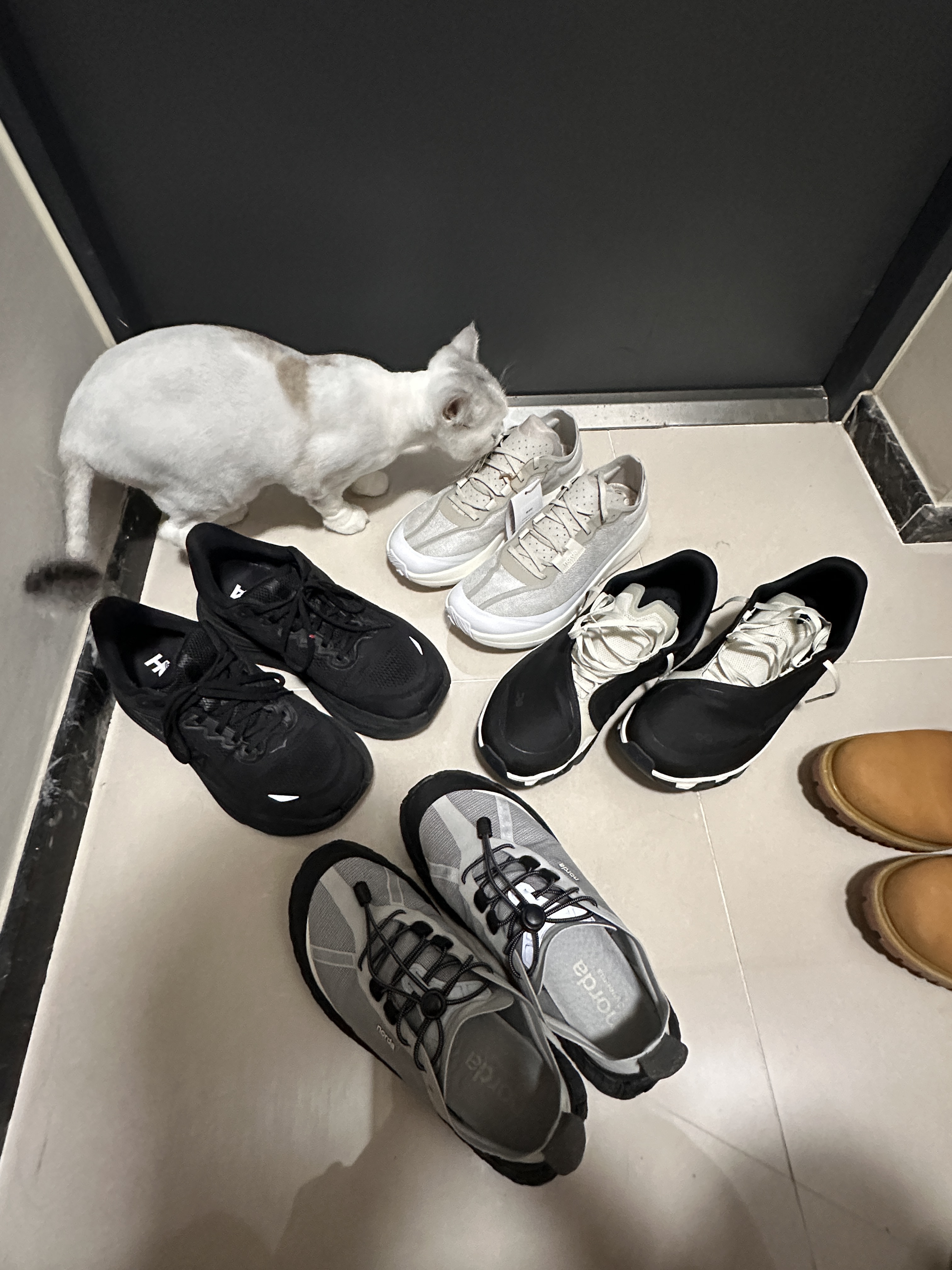Norda 005 Neve, On Running x Post Archive Faction (Paf) Cloudmonster Hyper Black 착용 스타일