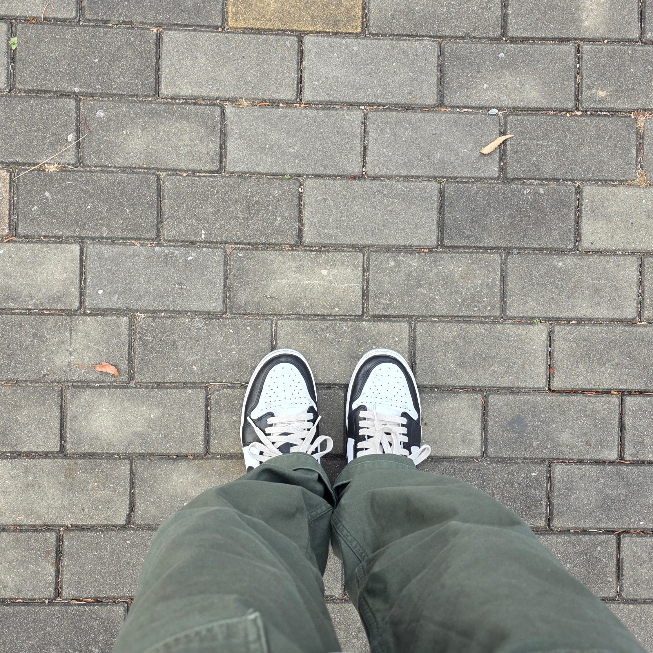 Jordan 1 Retro Low OG Black and Dark Powder Blue 착용 스타일