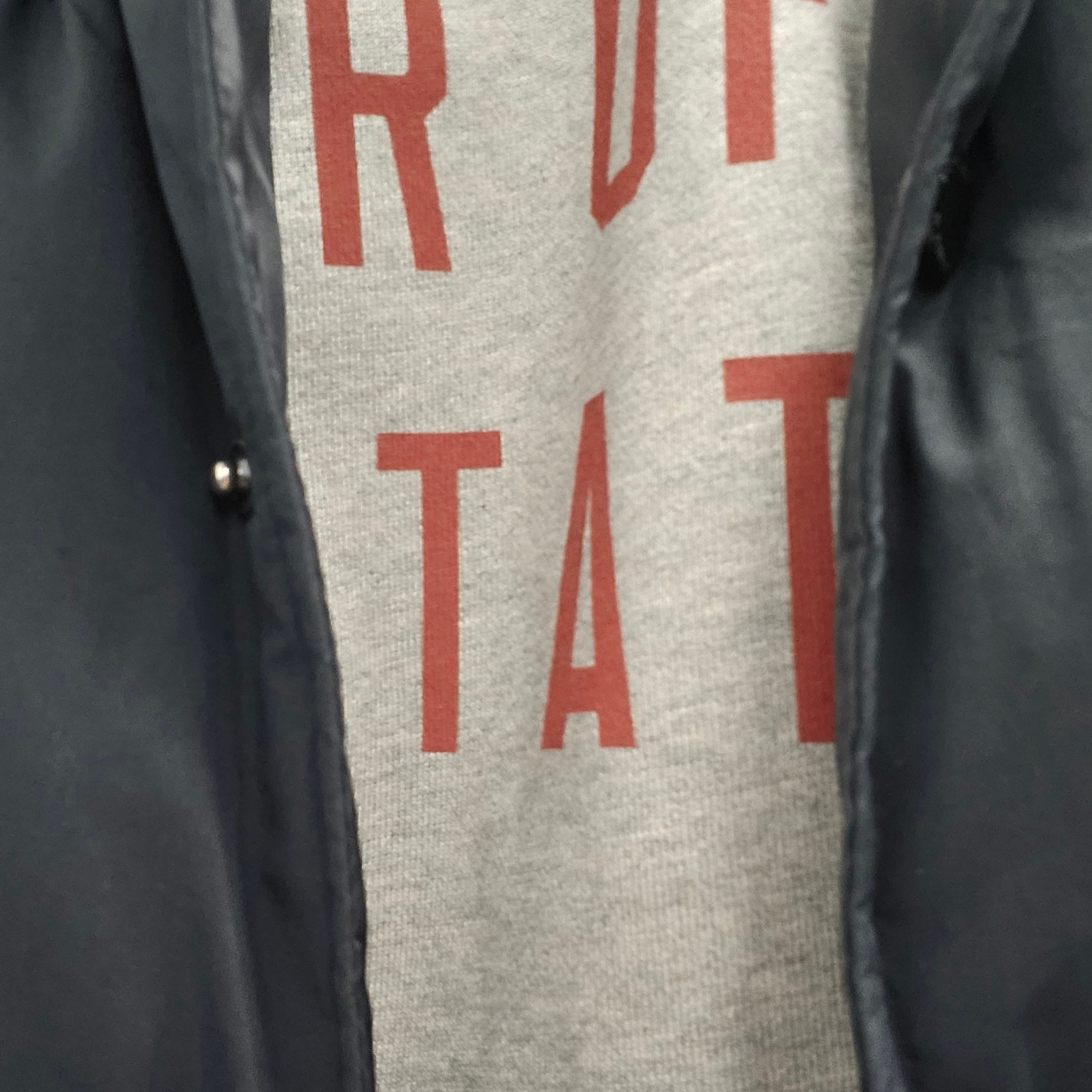 Essentials Fleece State Hoodie Dark Heather - 24FW 착용 스타일