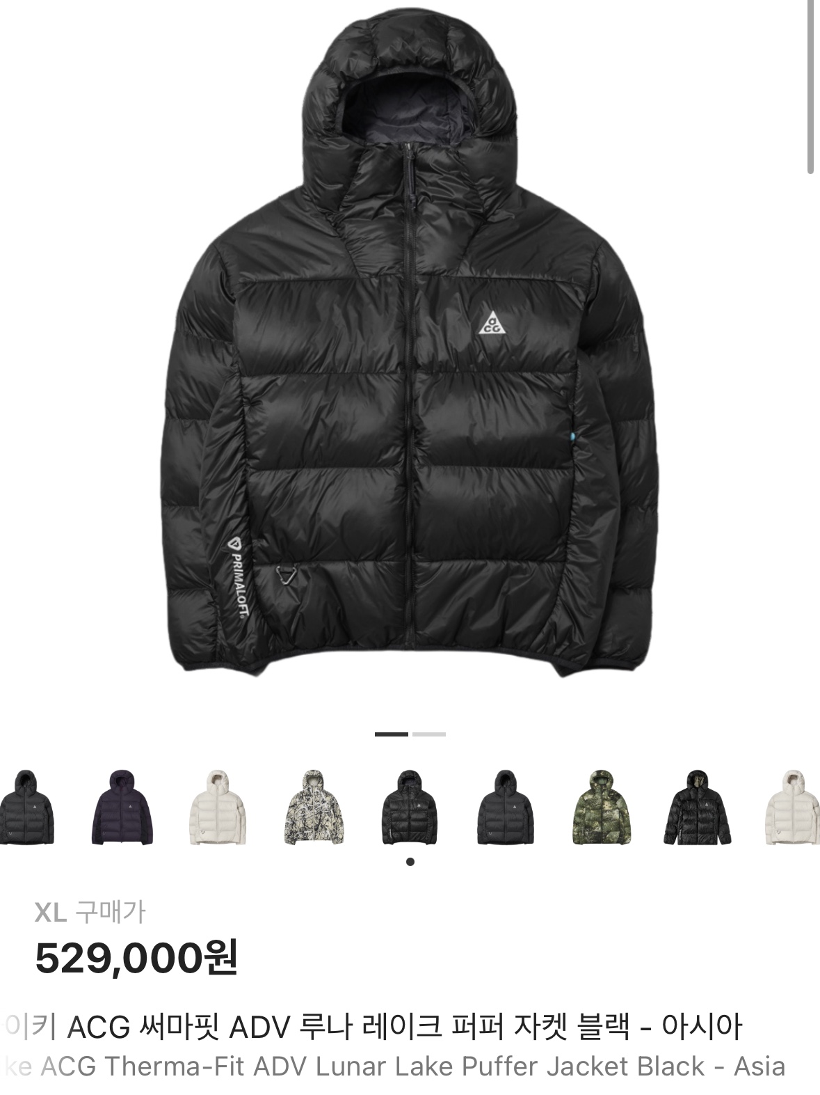 Nike ACG Therma-Fit ADV Lunar Lake Puffer Jacket Black - Asia 착용 스타일 - 1