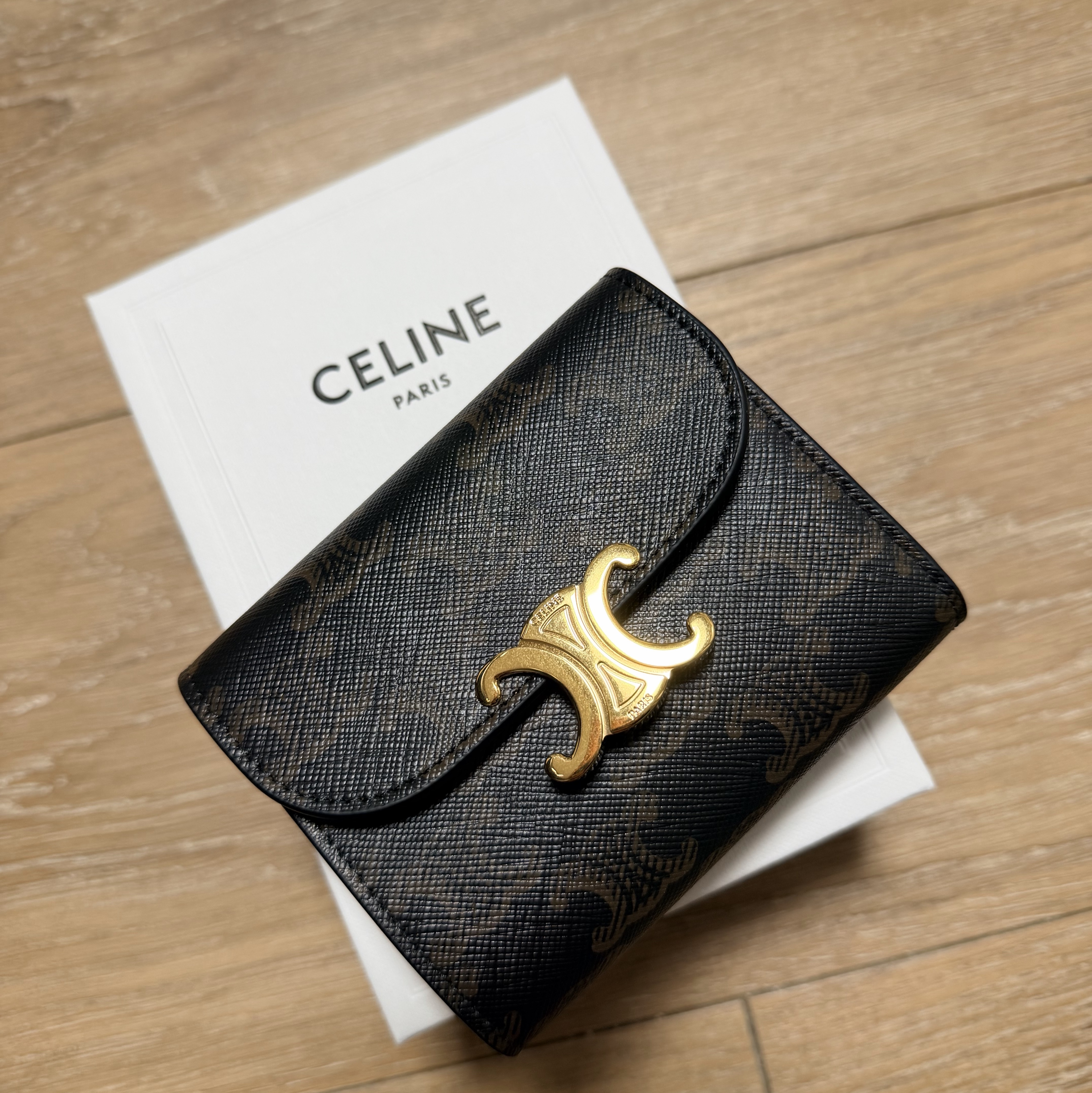 Celine Small Wallet Triomphe in Triomphe Canvas Tan 착용 스타일