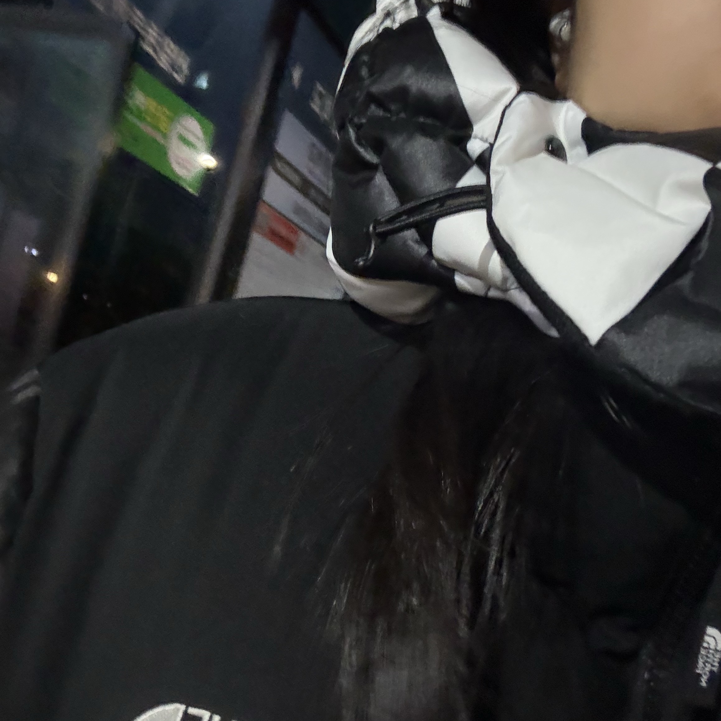 (W) The North Face White Label Novelty Nuptse Down Jacket Black 착용 스타일