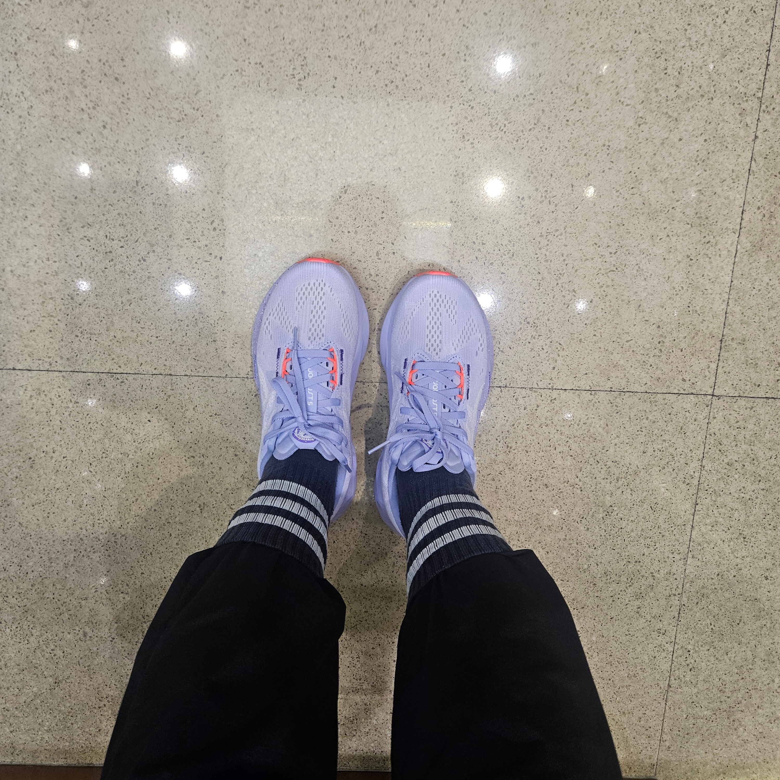 (W) Asics Novablast 5 Tokyo Vapor Edo Purple 착용 스타일
