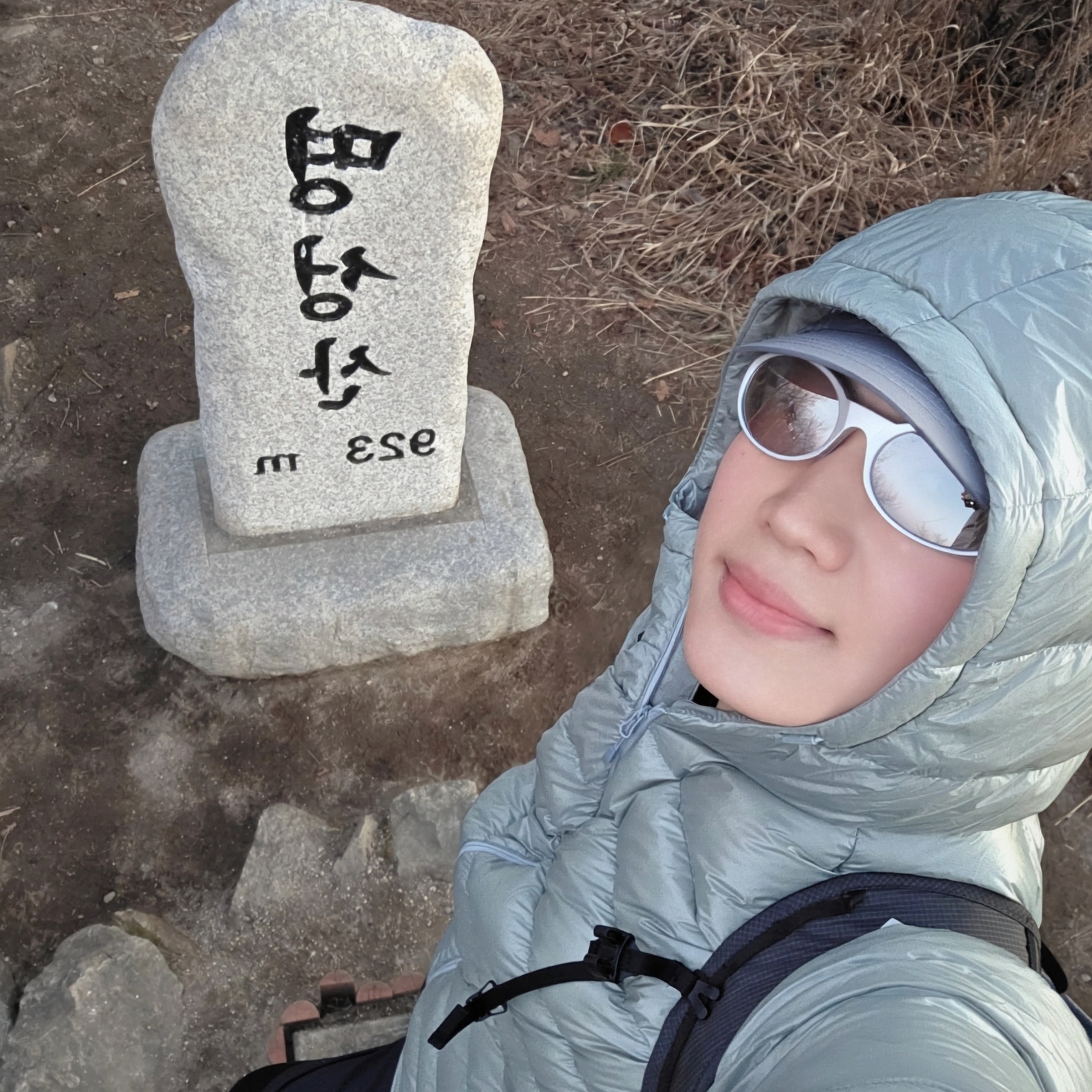 The North Face Matier EX RDS Down Hoodie Light Gray - 25FW 착용 스타일 - 1