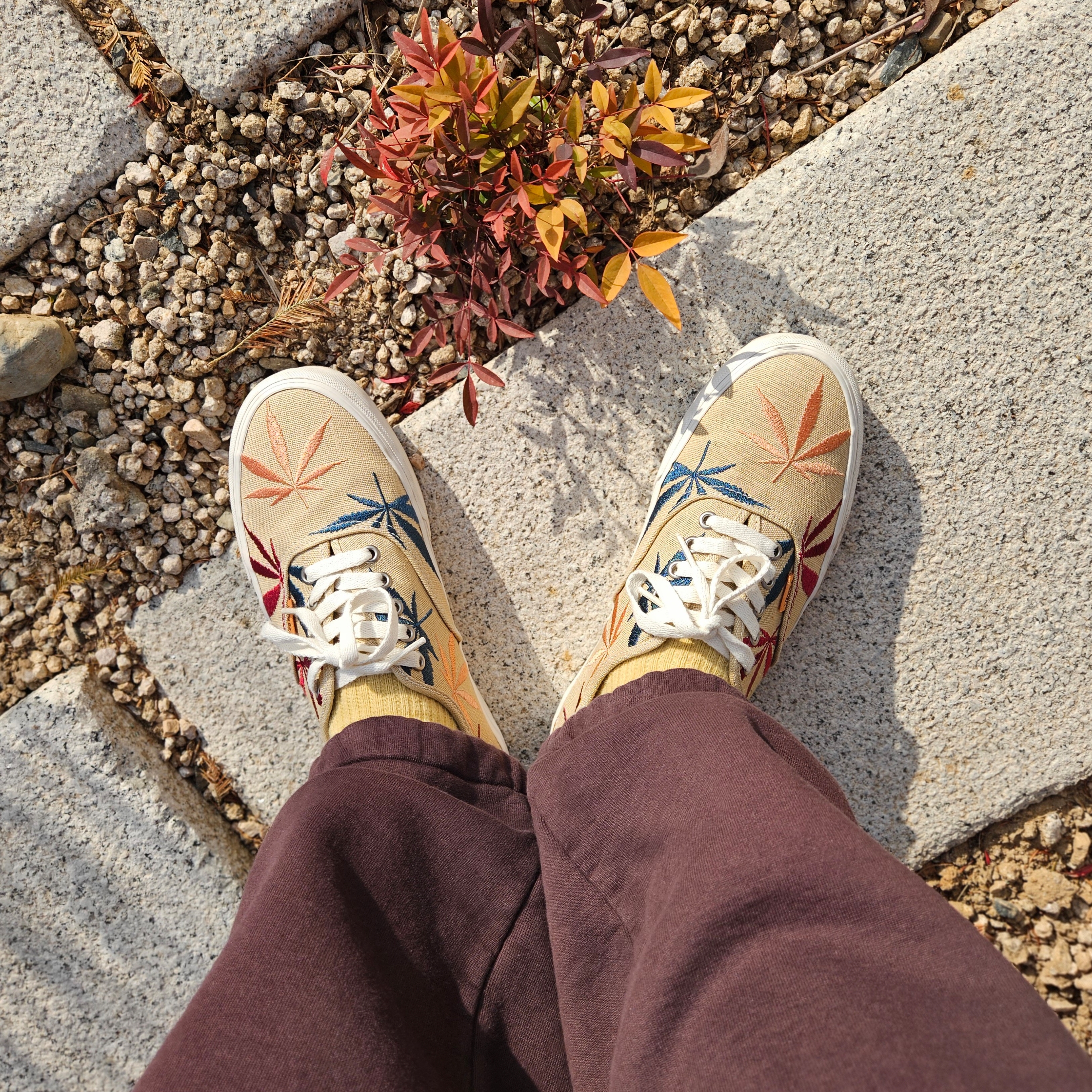 Vans Vault OG Authentic LX Blue Dream, Auralee Super Light Wool Check Shirt Light Beige Check - 22AW 착용 스타일 - 4