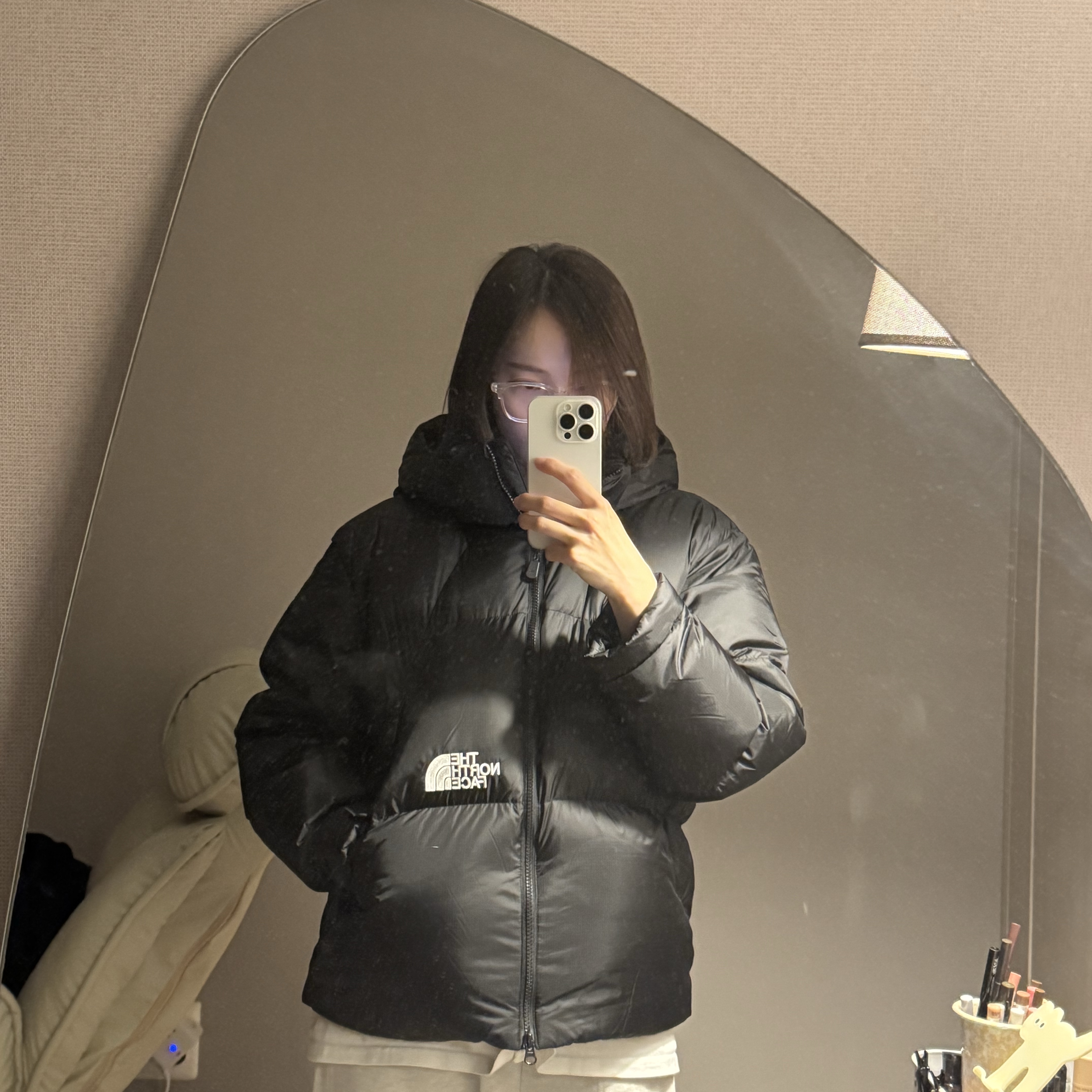 The North Face White Label Project Down Jacket RDS Black - 25FW 착용 스타일 - 3