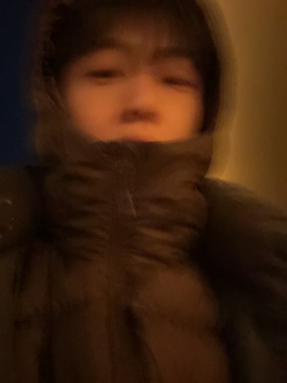Stussy x Denim Tears Graphic Hoodie Black, Musinsa Standard City Leisure Hooded Light Down Jacket Brown 착용 스타일 - 3