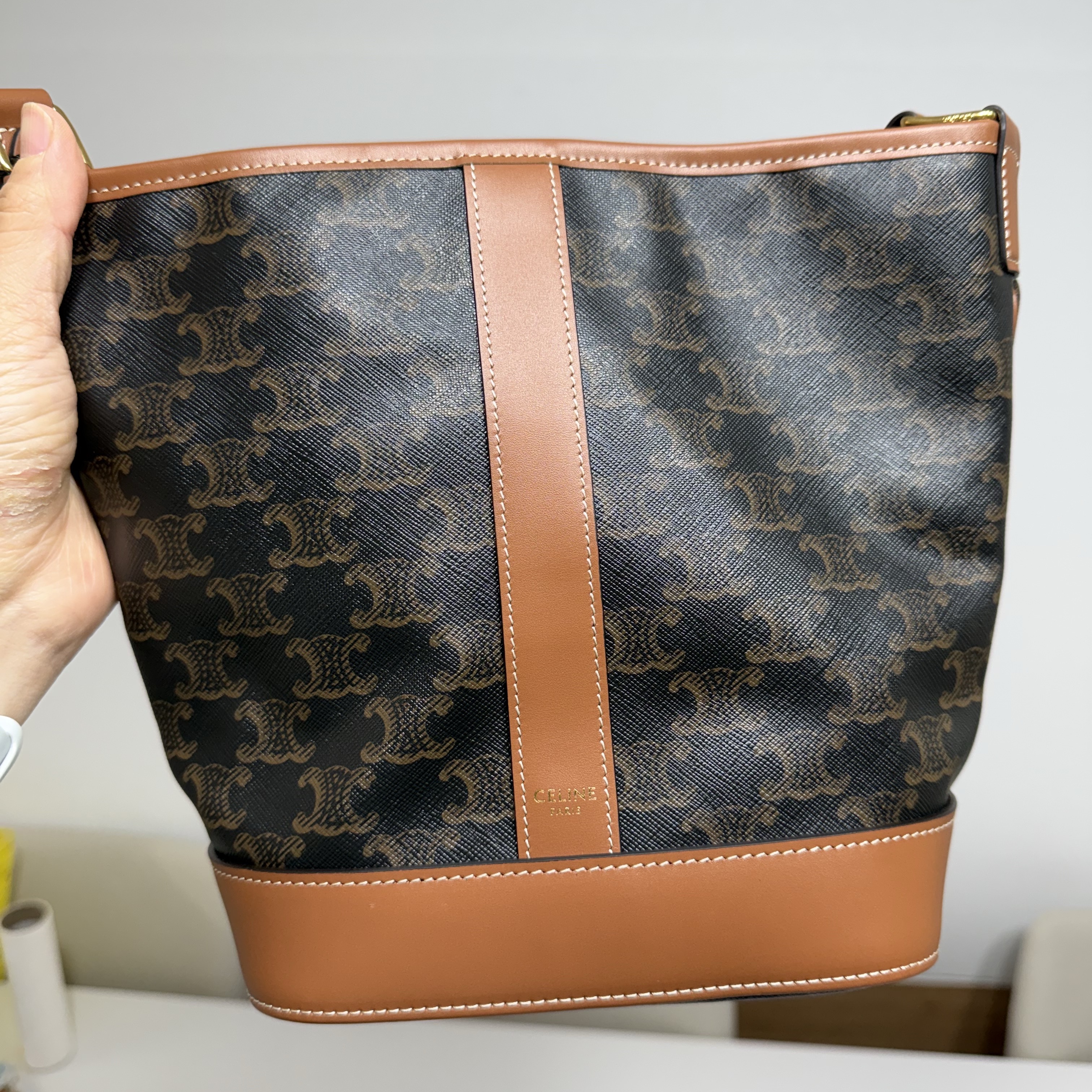 Celine Small Bucket in Triomphe Canvas and Calfskin Tan 착용 스타일