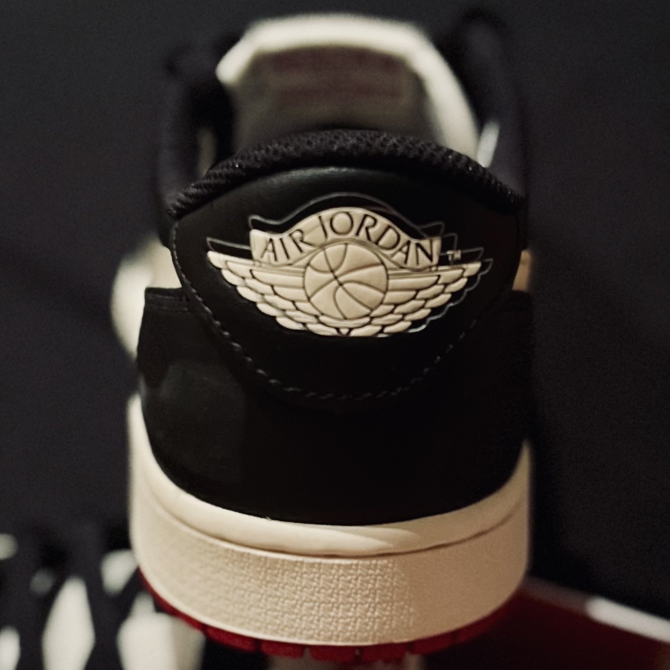 Jordan 1 x Nigel Sylvester Retro Low OG Better With Time 착용 스타일 - 2