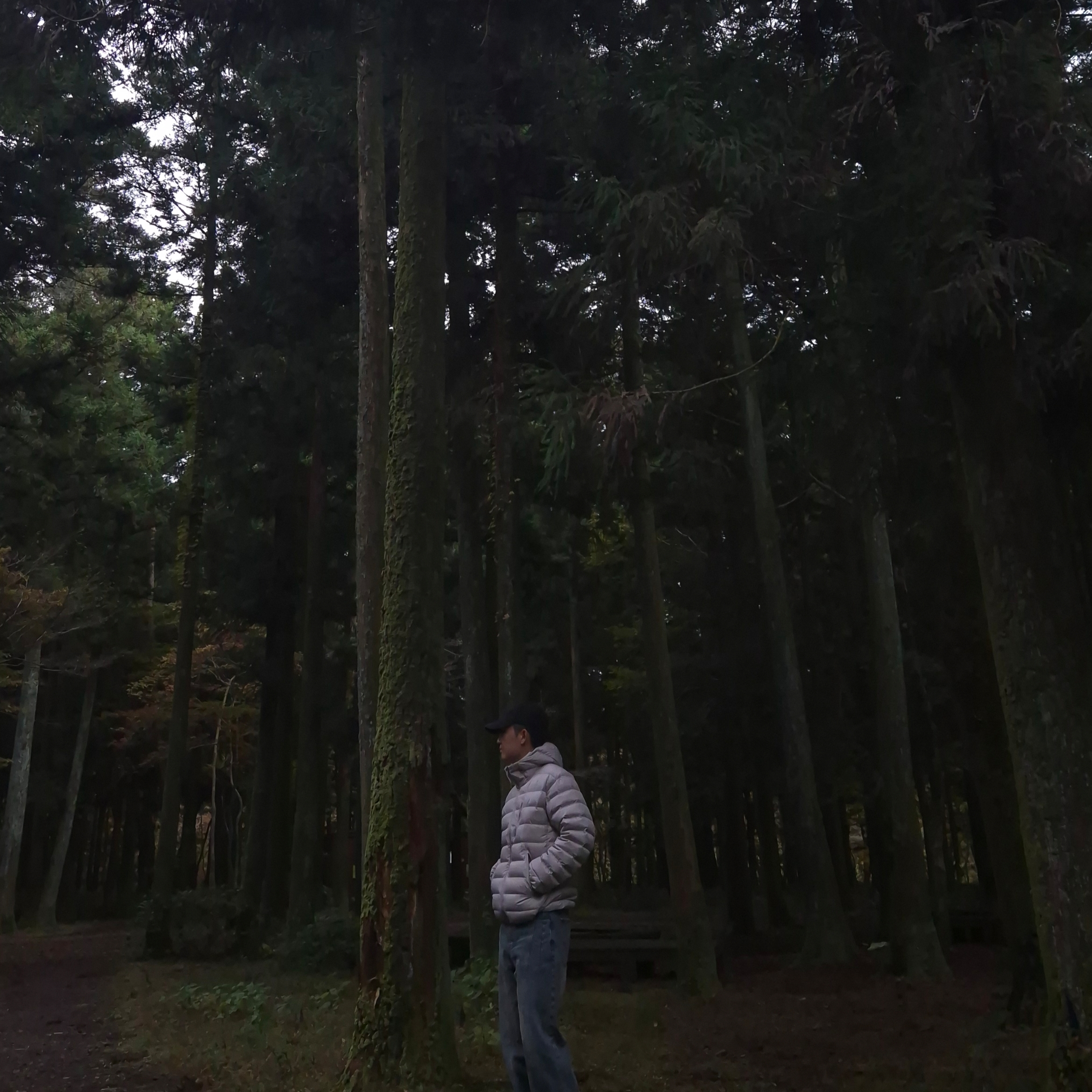 Musinsa Standard City Leisure Hooded Light Down Jacket Dusty Beige 착용 스타일