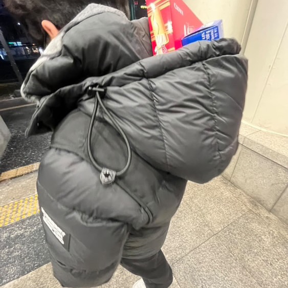 Burberry Detachable Sleeve Hood Puffer Jacket Black 착용 스타일