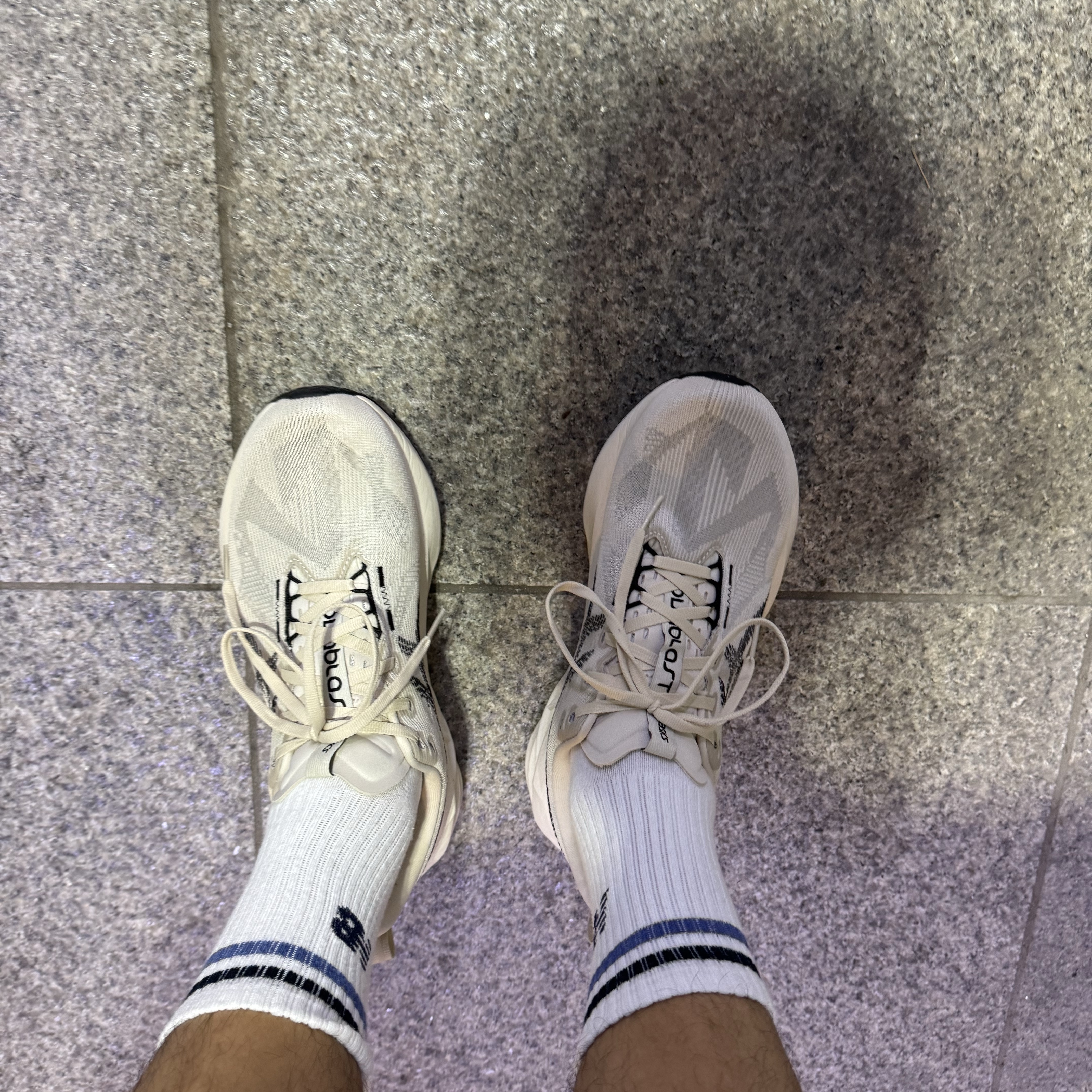 Asics Novablast 5 Oatmeal Black - D Standard 착용 스타일