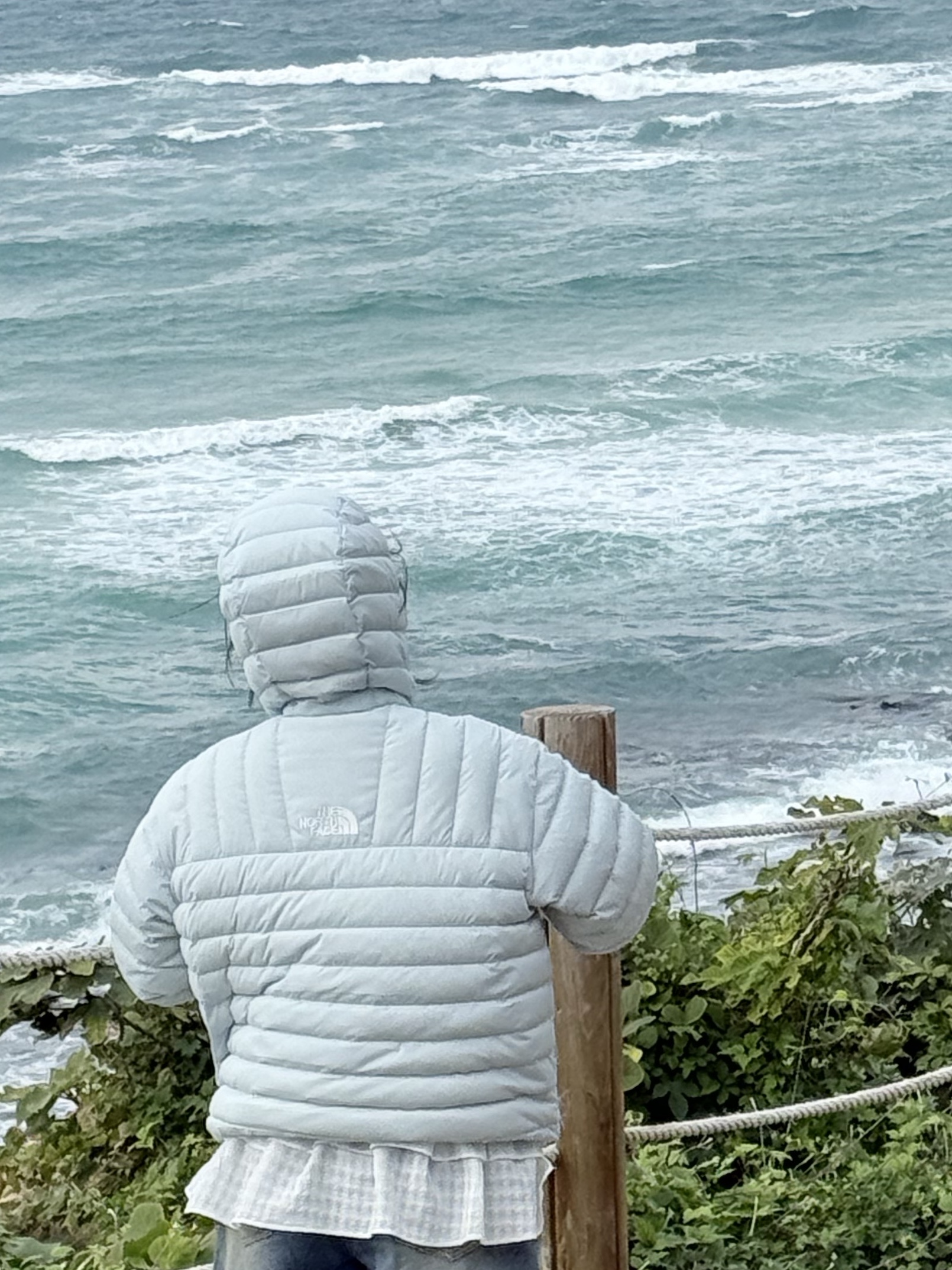 The North Face Coreline Down Jacket Light Blue - 25FW 착용 스타일 - 3