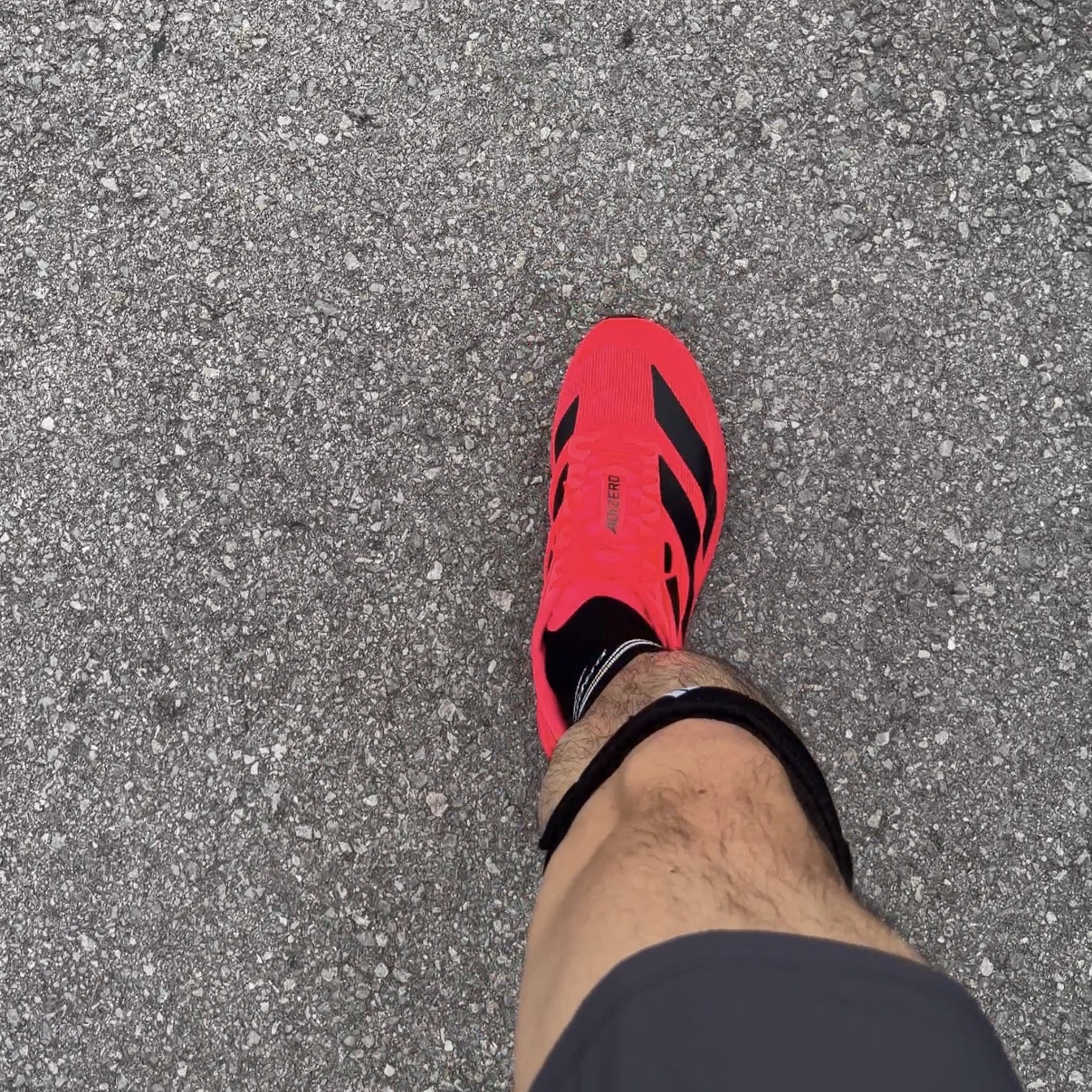 Adidas Adizero Evo SL Lucid Red Core Black 착용 스타일