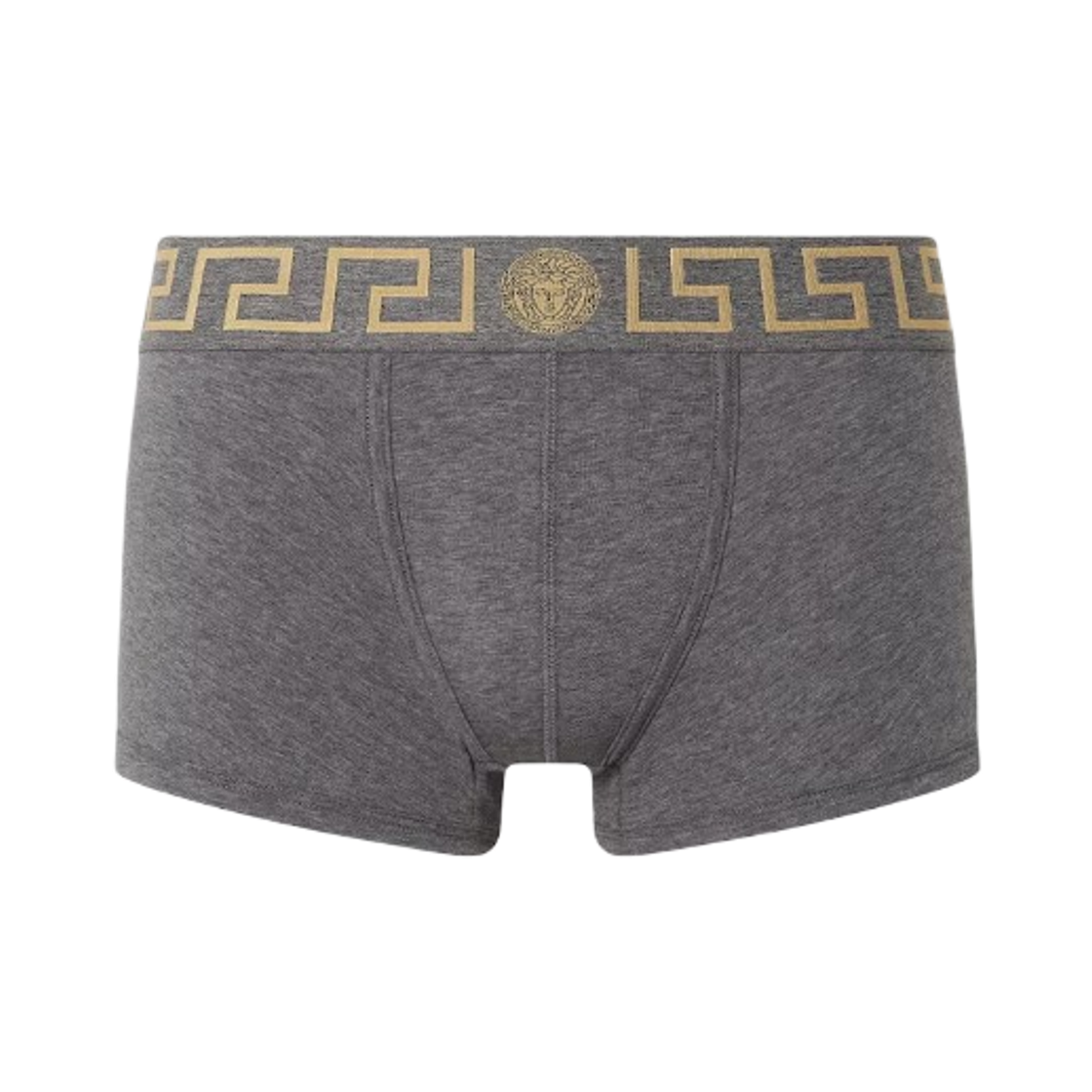 AU10026-1A10011-A9X1 Versace Greca Border Trunks Gray