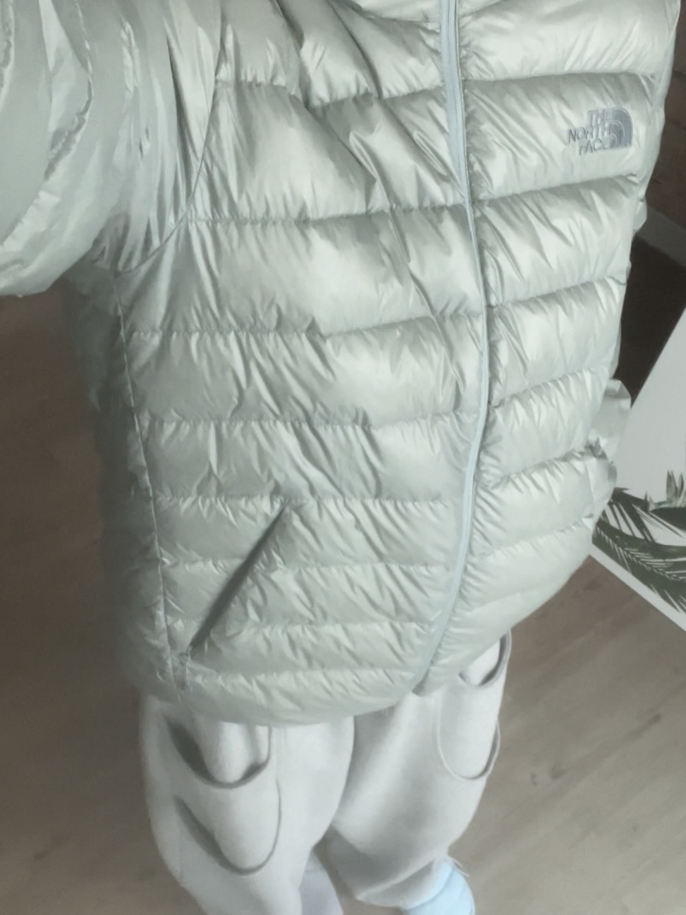 The North Face Matier EX RDS Down Hoodie Light Gray - 25FW 착용 스타일 - 3