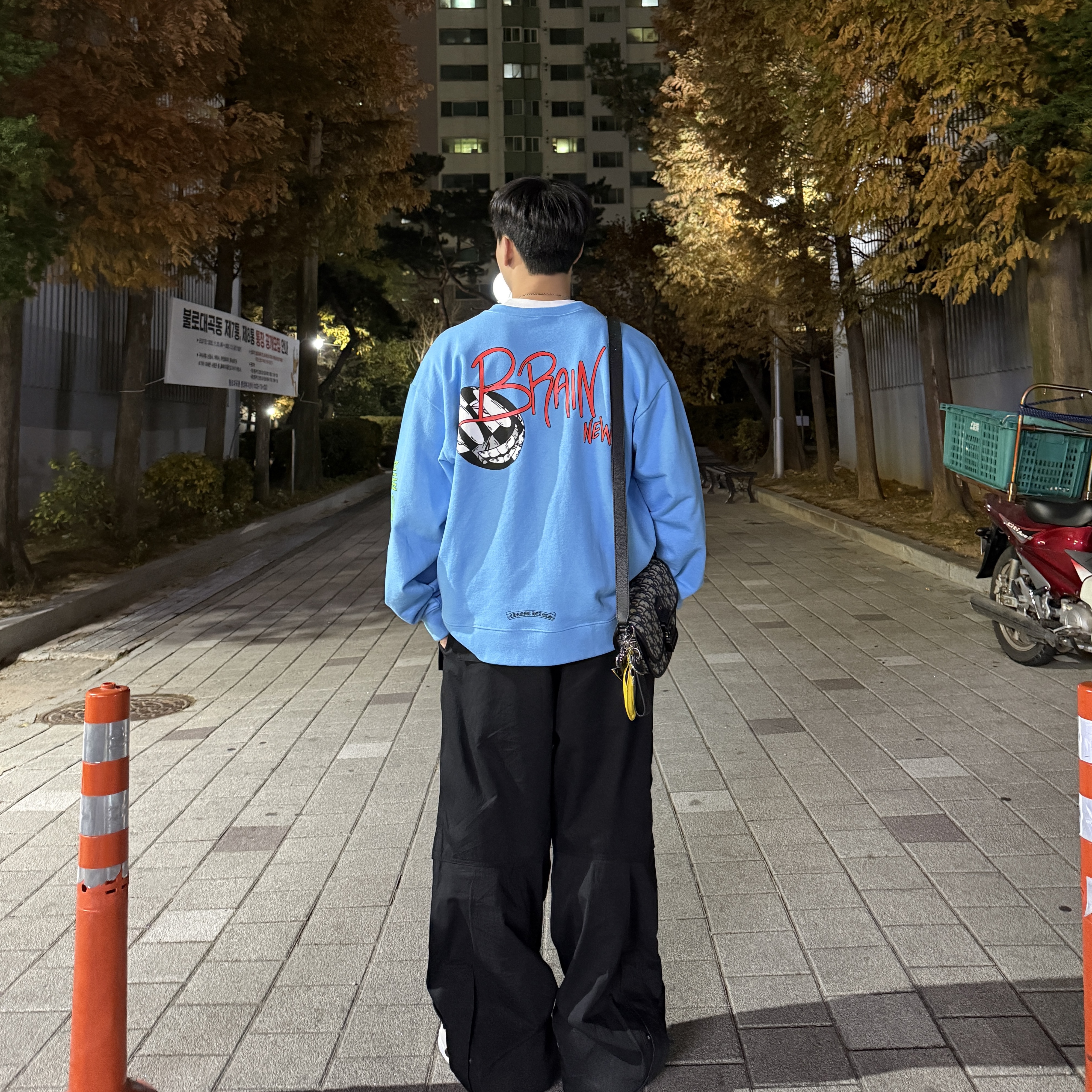 Chrome Hearts Matty Boy Brain New Sweatshirt Blue, Dior Gallop Bag Strap Beige Black Dior Oblique Jacquard 착용 스타일