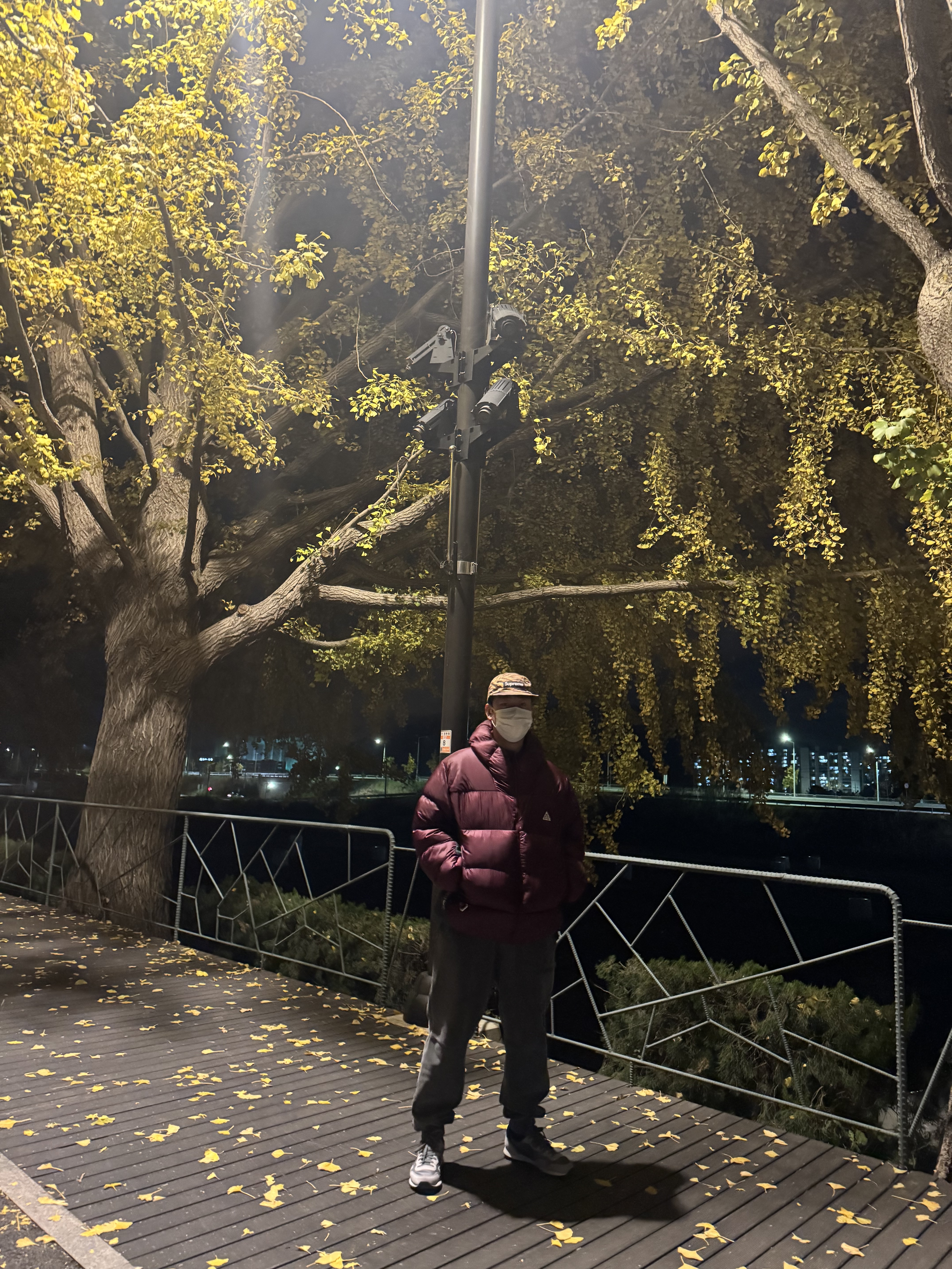 Supreme Washed Chino Twill Camp Cap Tiger - 25FW, Nike ACG Therma-Fit ADV Lunar Lake Puffer Jacket Night Maroon - Asia 착용 스타일 - 1