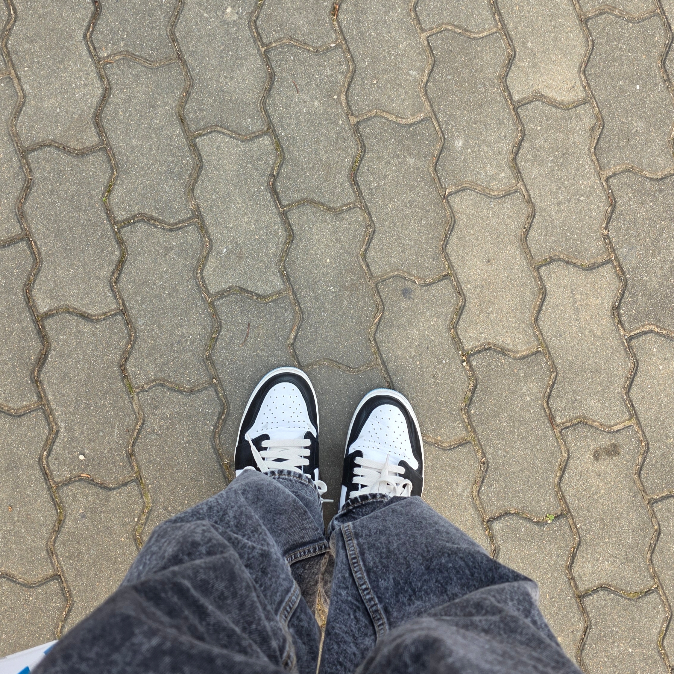 Jordan 1 Retro Low OG Black and Dark Powder Blue 착용 스타일