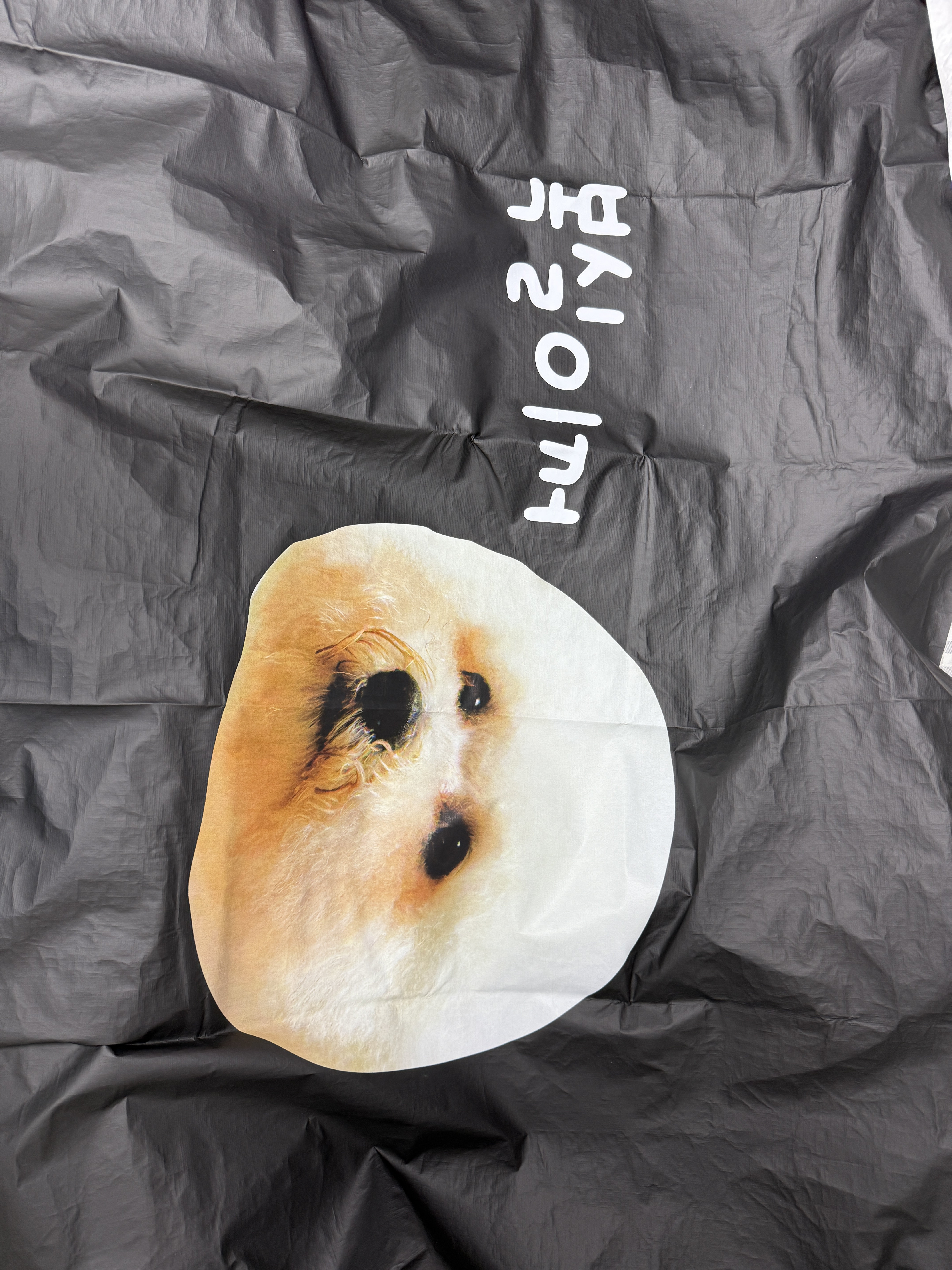 너구리님의 스타일