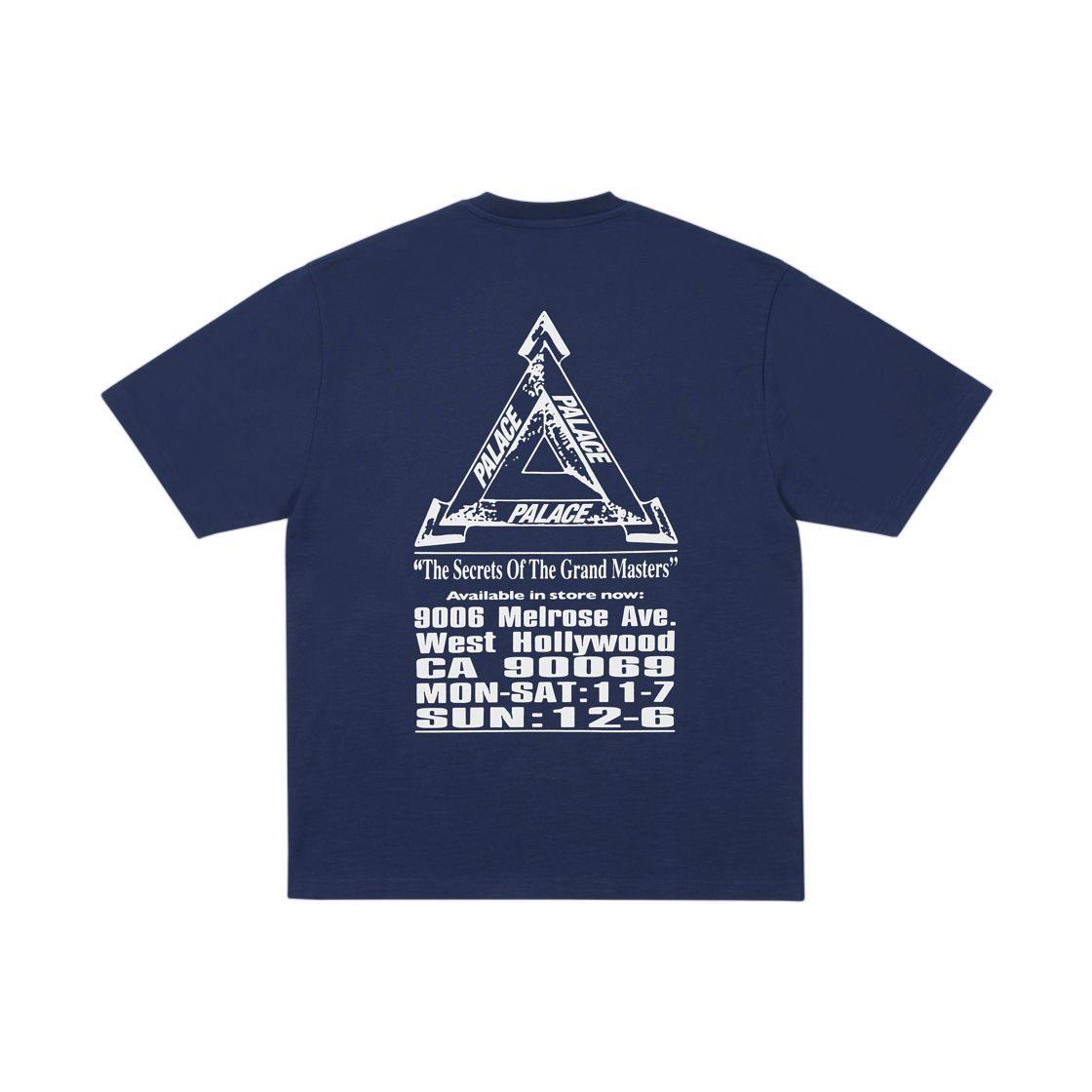팔라스 그랜드 마스터 티셔츠 네이비 - 25FW(Palace Grand Master T-Shirt Navy - 25FW) - 2
