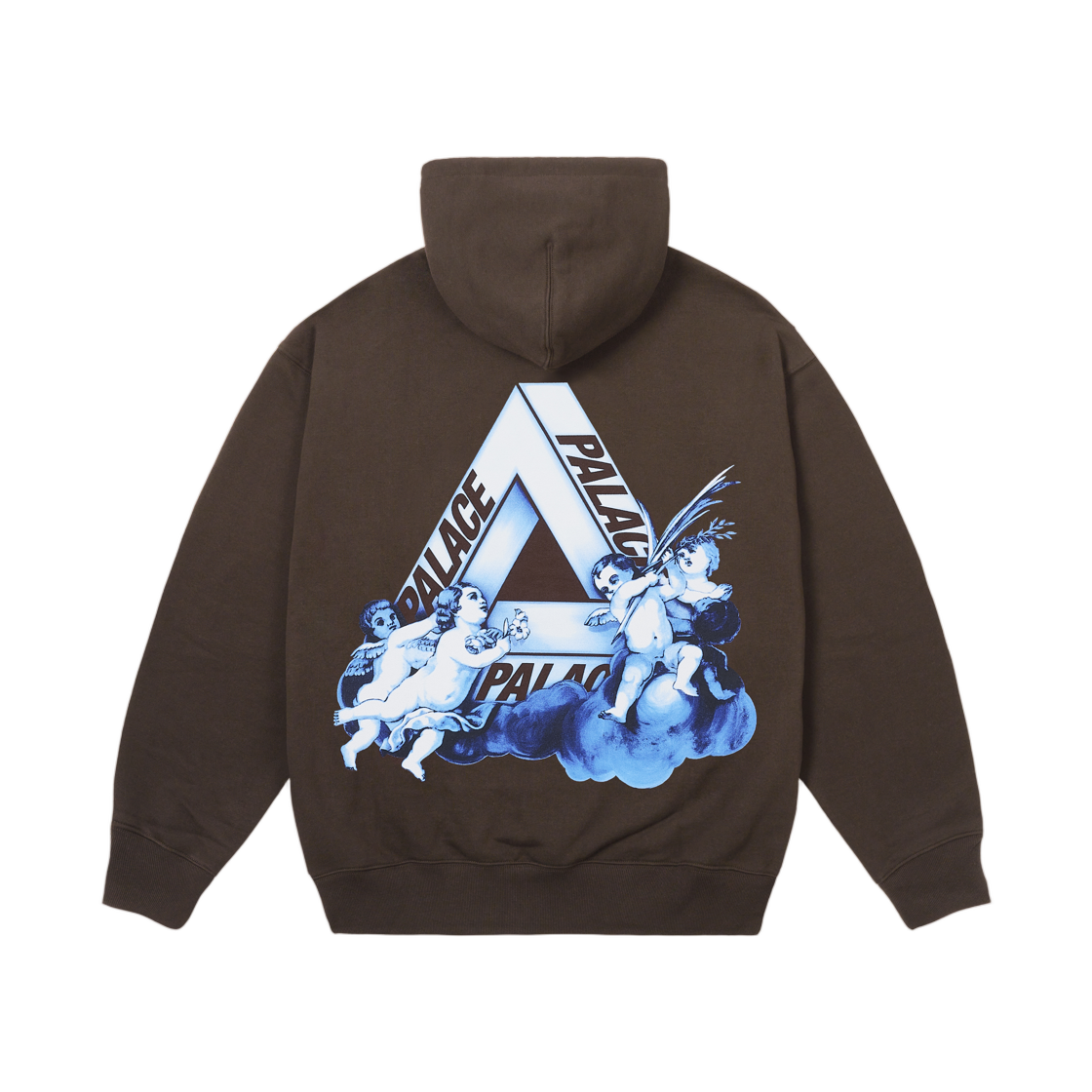 팔라스 트라이 엔젤릭 후드 스카이라인 폭스 - 25FW