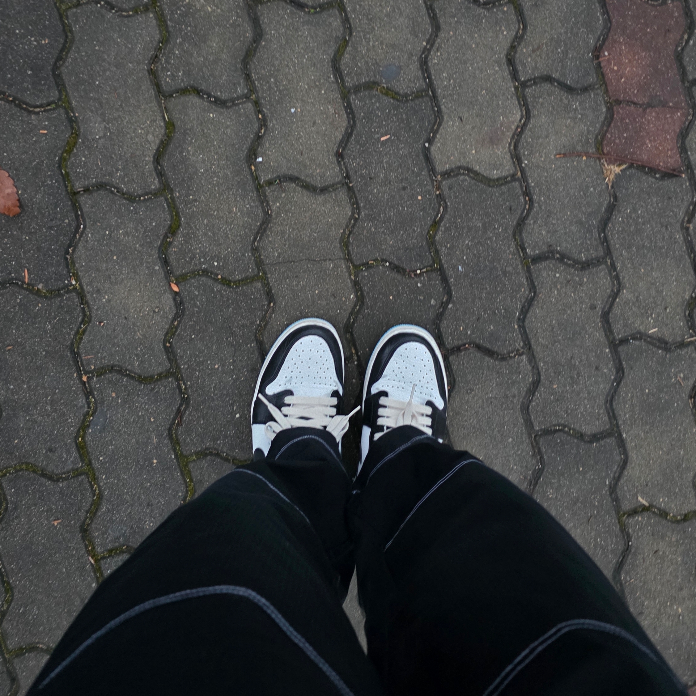 Jordan 1 Retro Low OG Black and Dark Powder Blue 착용 스타일