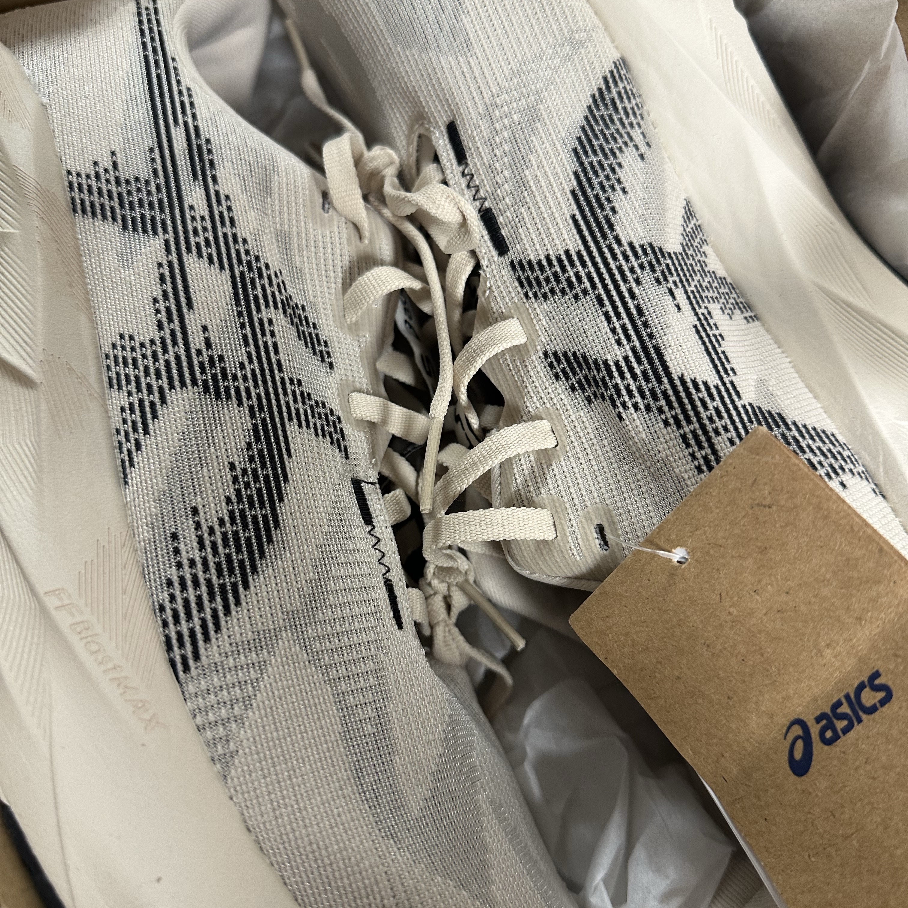 Asics Novablast 5 Oatmeal Black - D Standard 착용 스타일