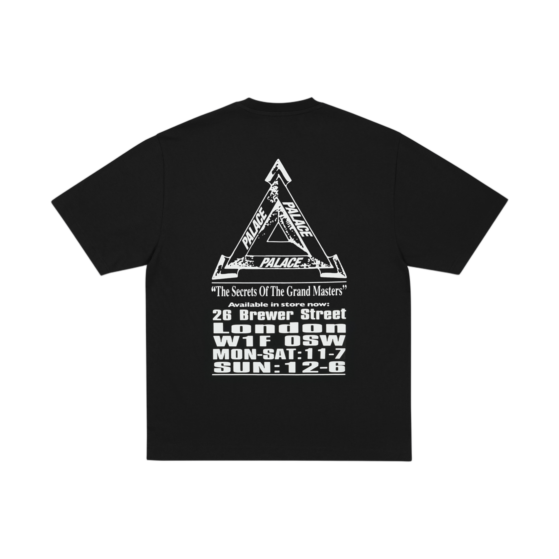 팔라스 그랜드 마스터 티셔츠 블랙 - 25FW(Palace Grand Master T-Shirt Black - 25FW) - 2