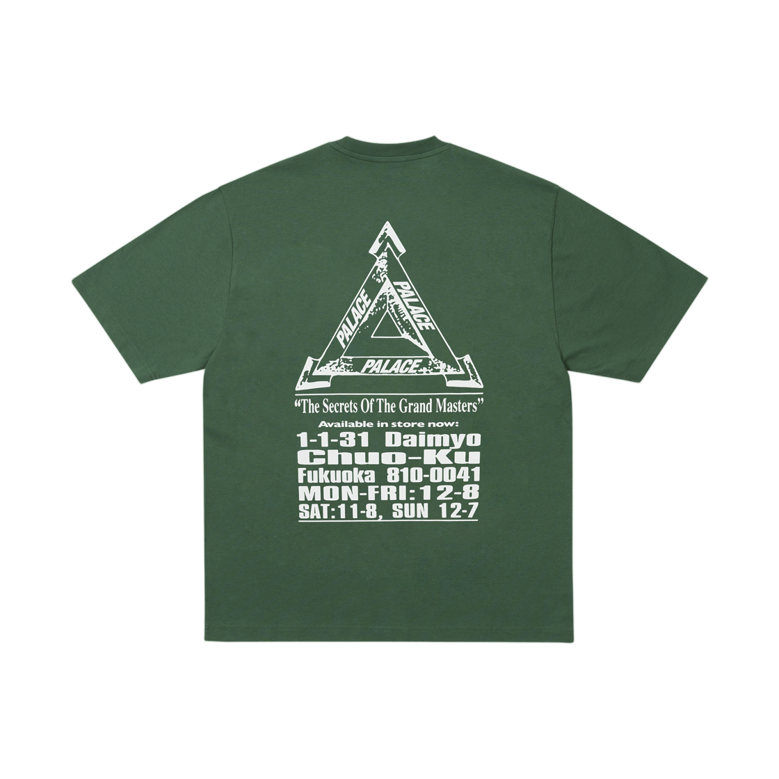 팔라스 그랜드 마스터 티셔츠 레이시 그린 - 25FW(Palace Grand Master T-Shirt Racey Green - 25FW) - 2