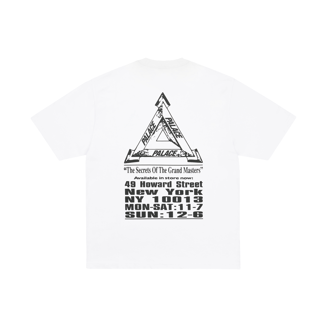 팔라스 그랜드 마스터 티셔츠 화이트 - 25FW(Palace Grand Master T-Shirt White - 25FW) - 2