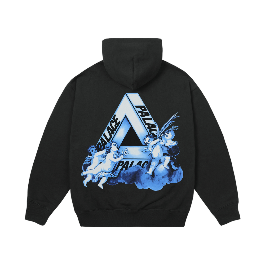 팔라스 트라이 엔젤릭 후드 스카이라인 블랙 - 25FW