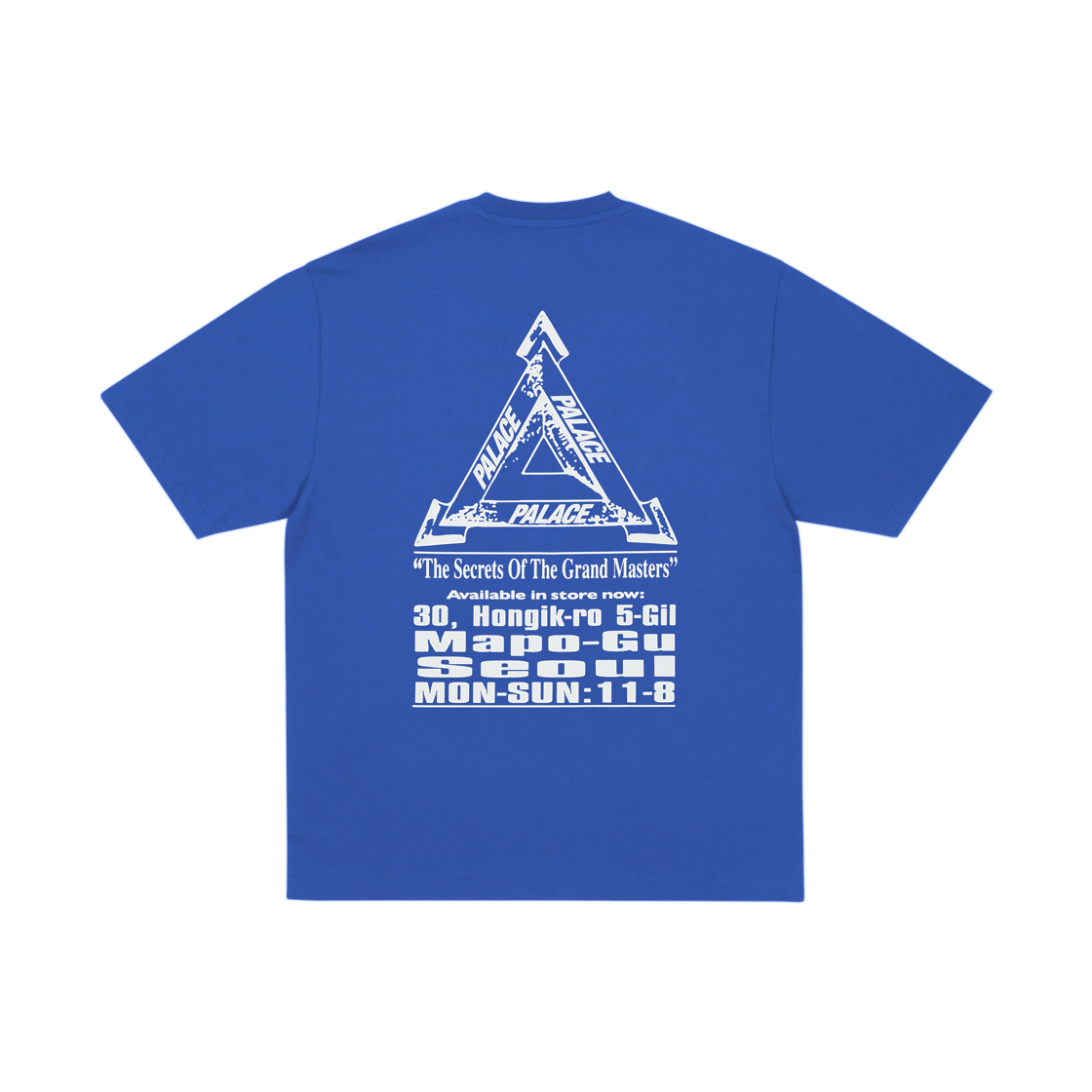 팔라스 그랜드 마스터 티셔츠 블루 베리 - 25FW(Palace Grand Master T-Shirt Blue Berry - 25FW) - 2