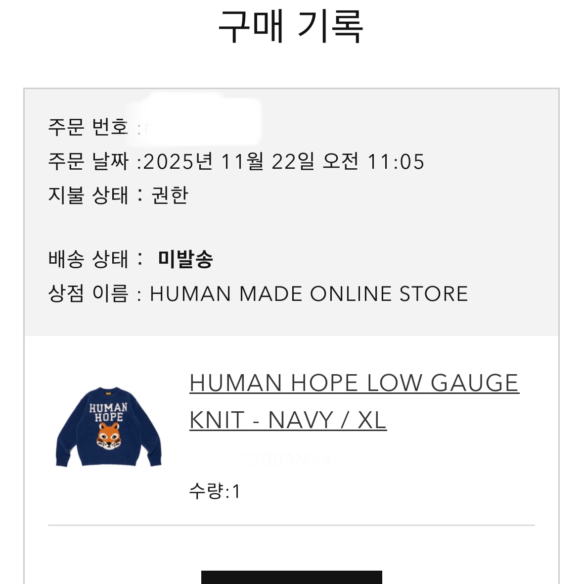 Human Made Human Hope Low Gauge Knit Navy, Human Made Human Hope Low Gauge Knit Brown 착용 스타일