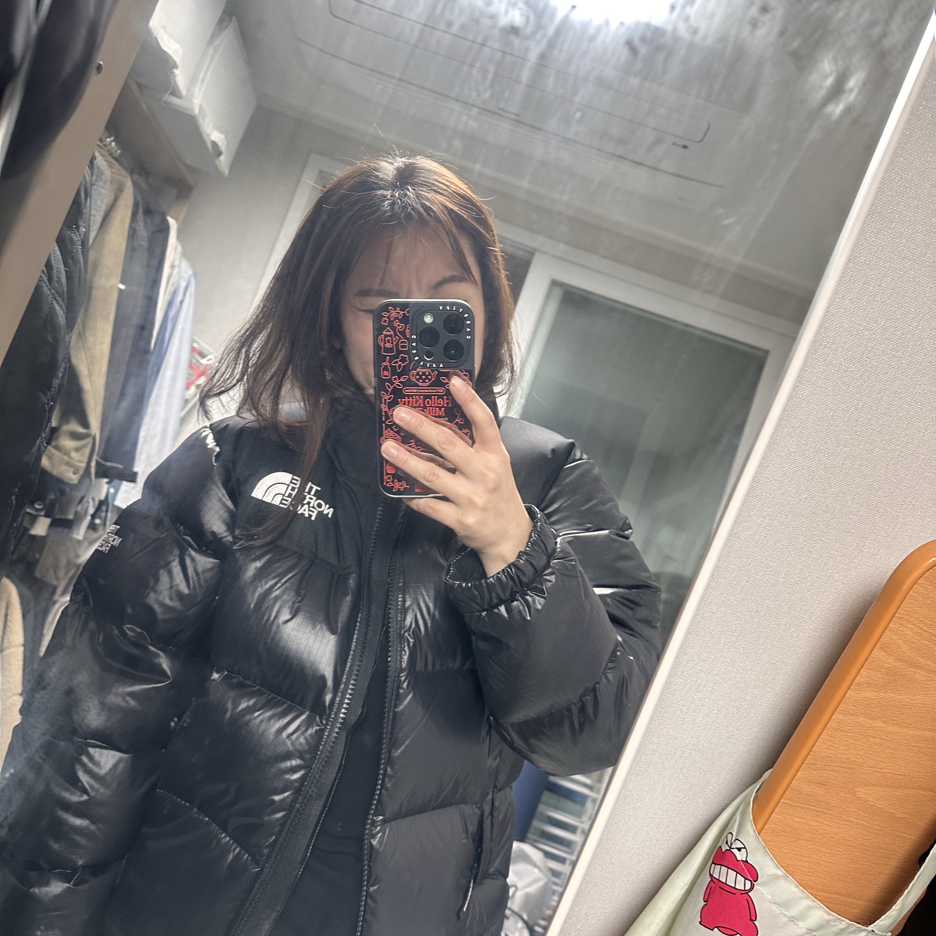 The North Face White Label Novelty Nuptse RDS Down Jacket Black 착용 스타일