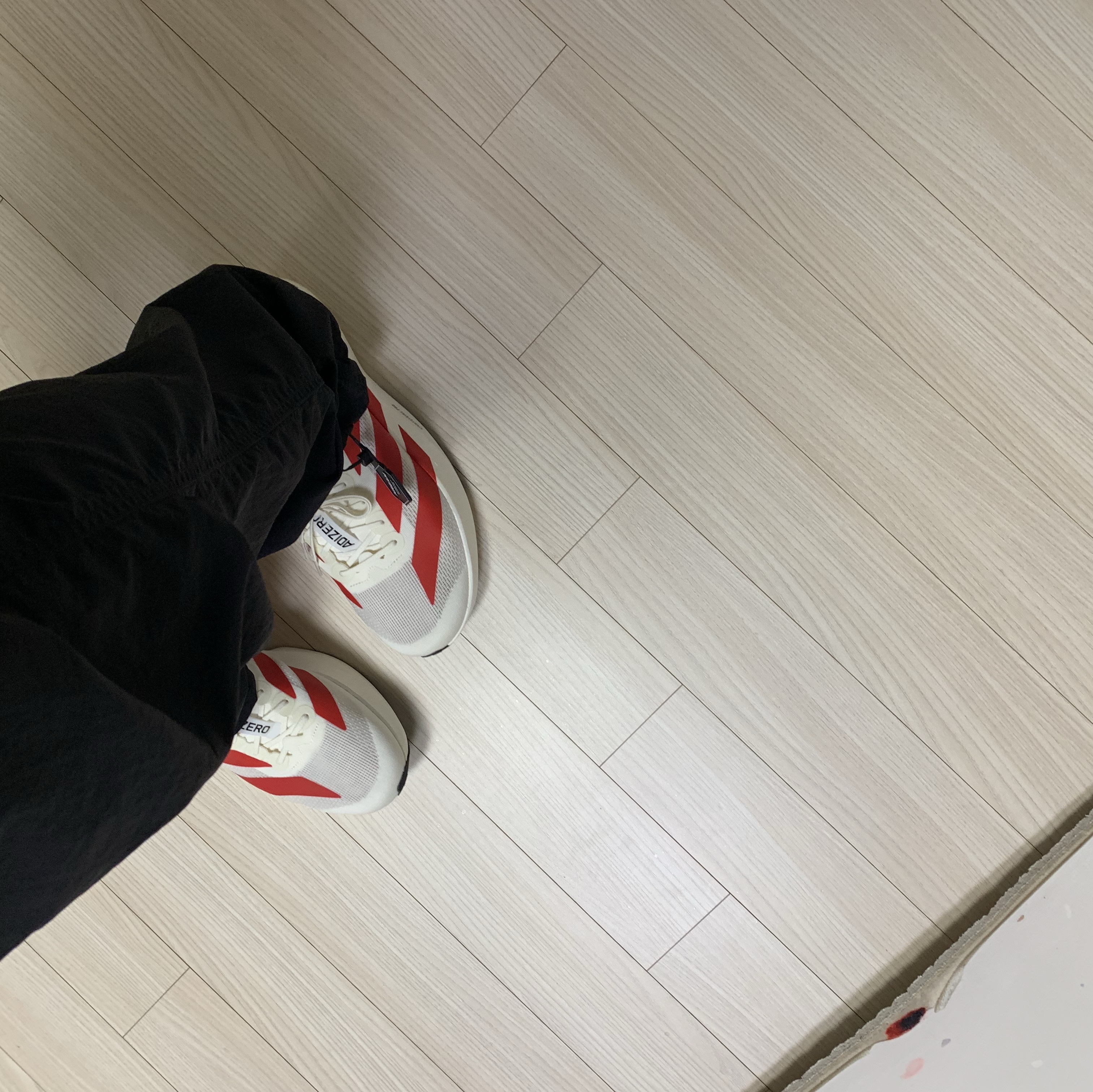 Adidas Adizero EVO SL Off White Better Scarlet 착용 스타일 - 2