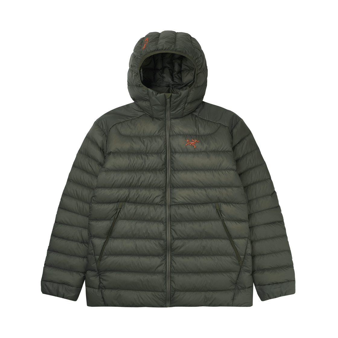 아크테릭스 세륨 후디 포리지 베르베(Arc'teryx Cerium Hoody Forage Verve)