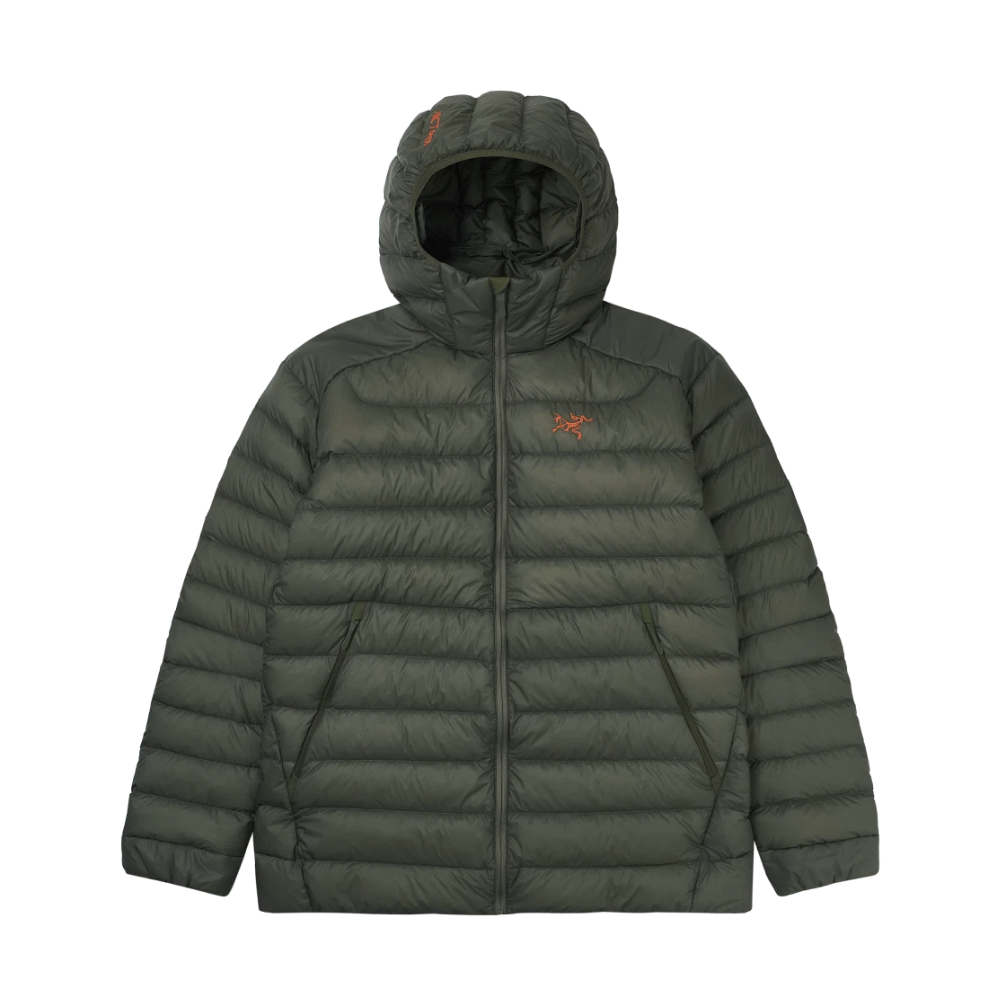 Arc'teryx Arc'teryx Cerium Hoody Forage Verve · S
