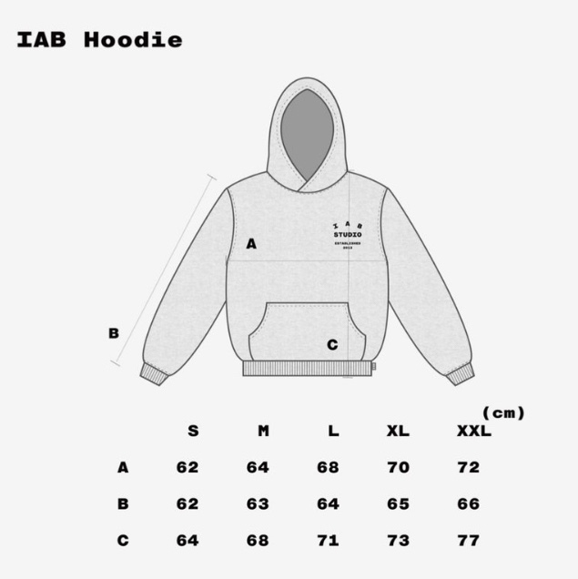 IAB Studio 25 Hoodie Light Gray Navy 착용 스타일 - 2