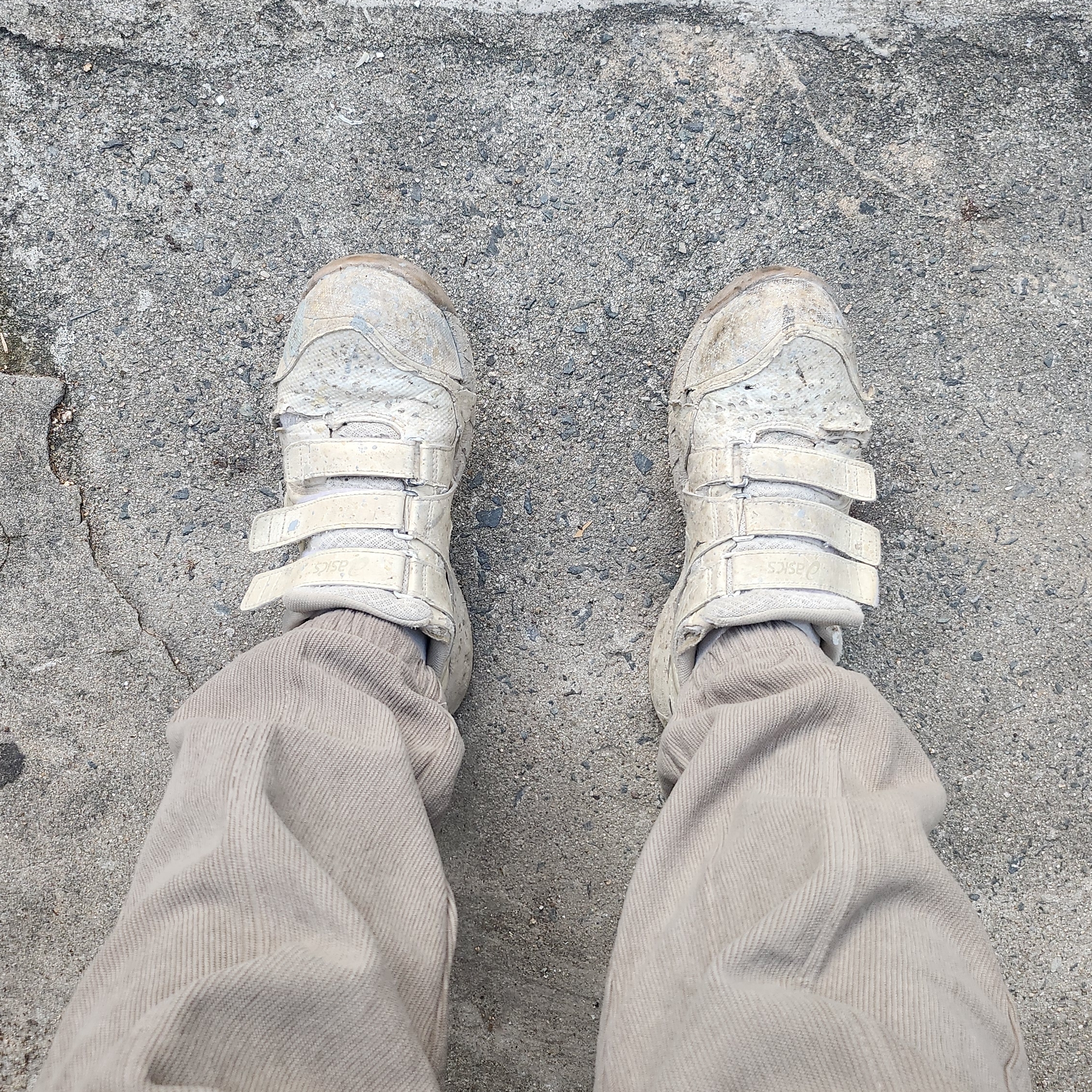 Asics Winjob CP112 Birch - 2E Wide 착용 스타일