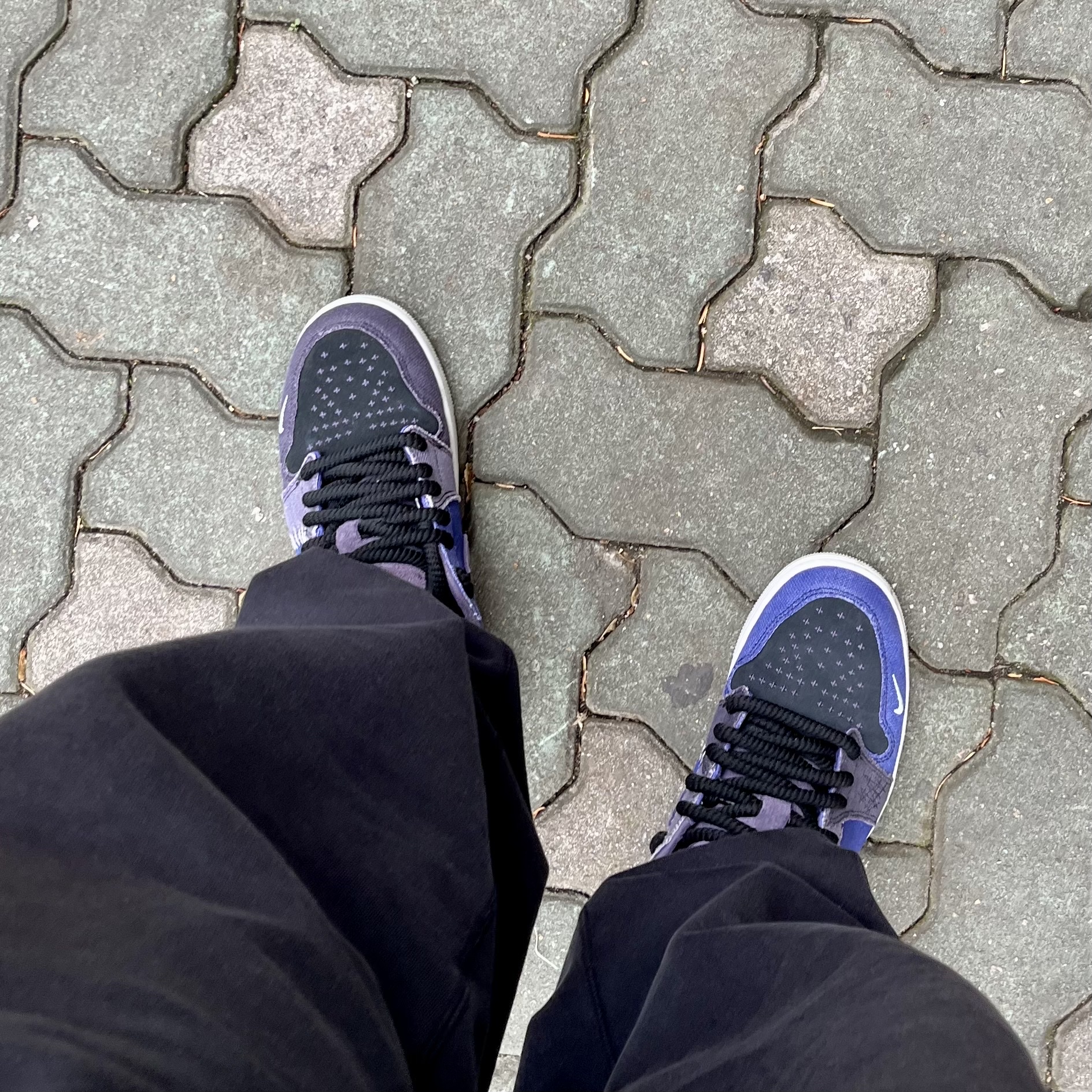 Jordan 1 x Zion Williamson Retro Low OG Regency Purple and Dark Raisin 착용 스타일