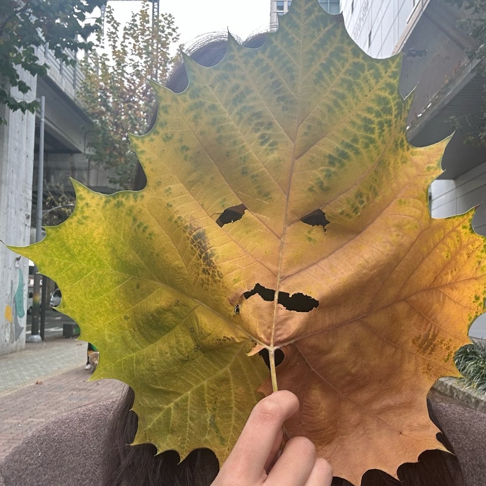 관심 유저 프로필 이미지