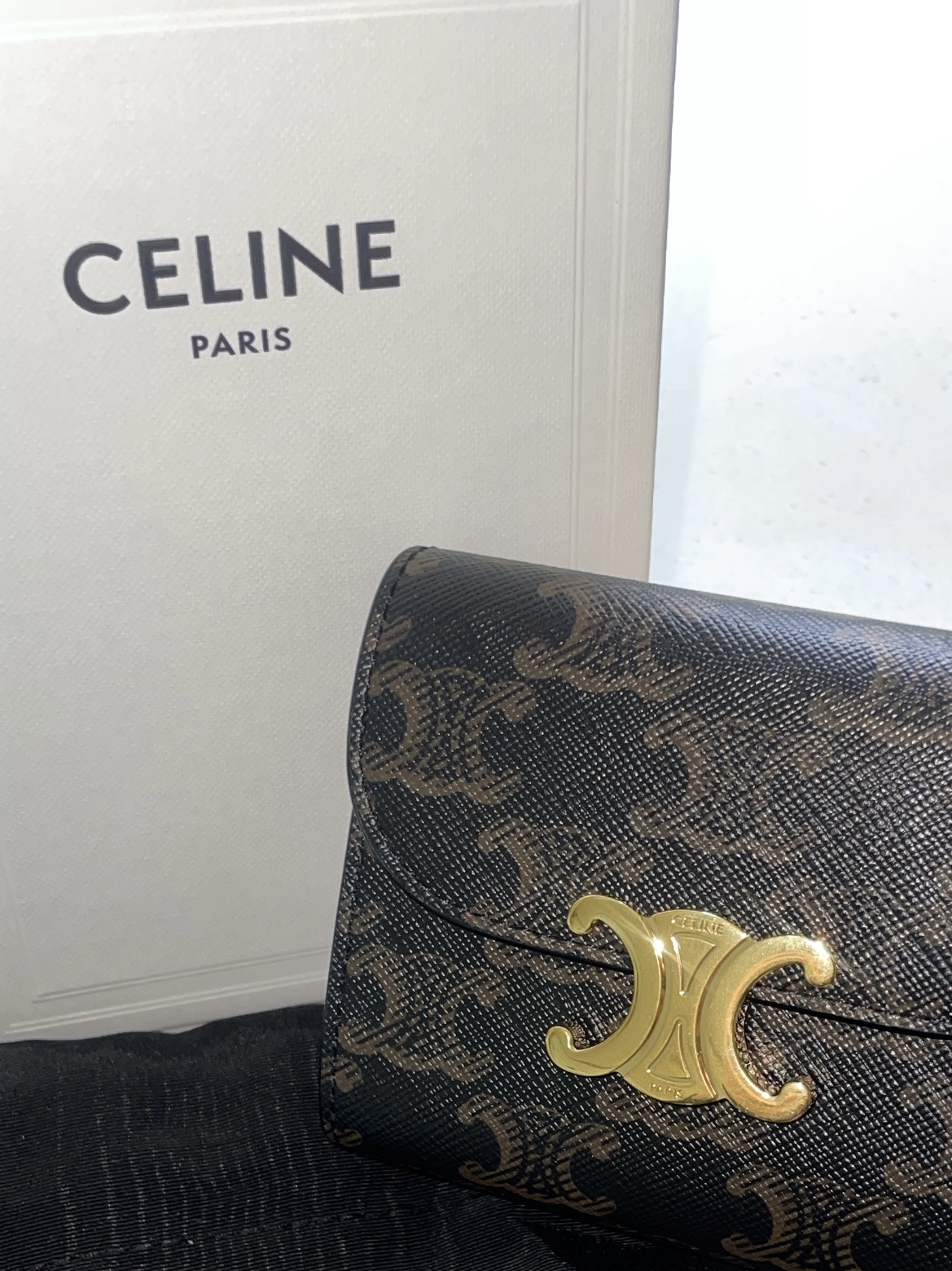 Celine Small Wallet Triomphe in Triomphe Canvas Tan 착용 스타일